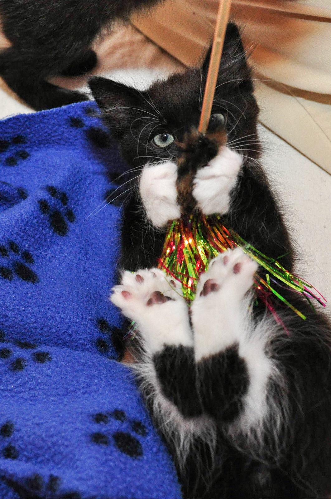 Play time!