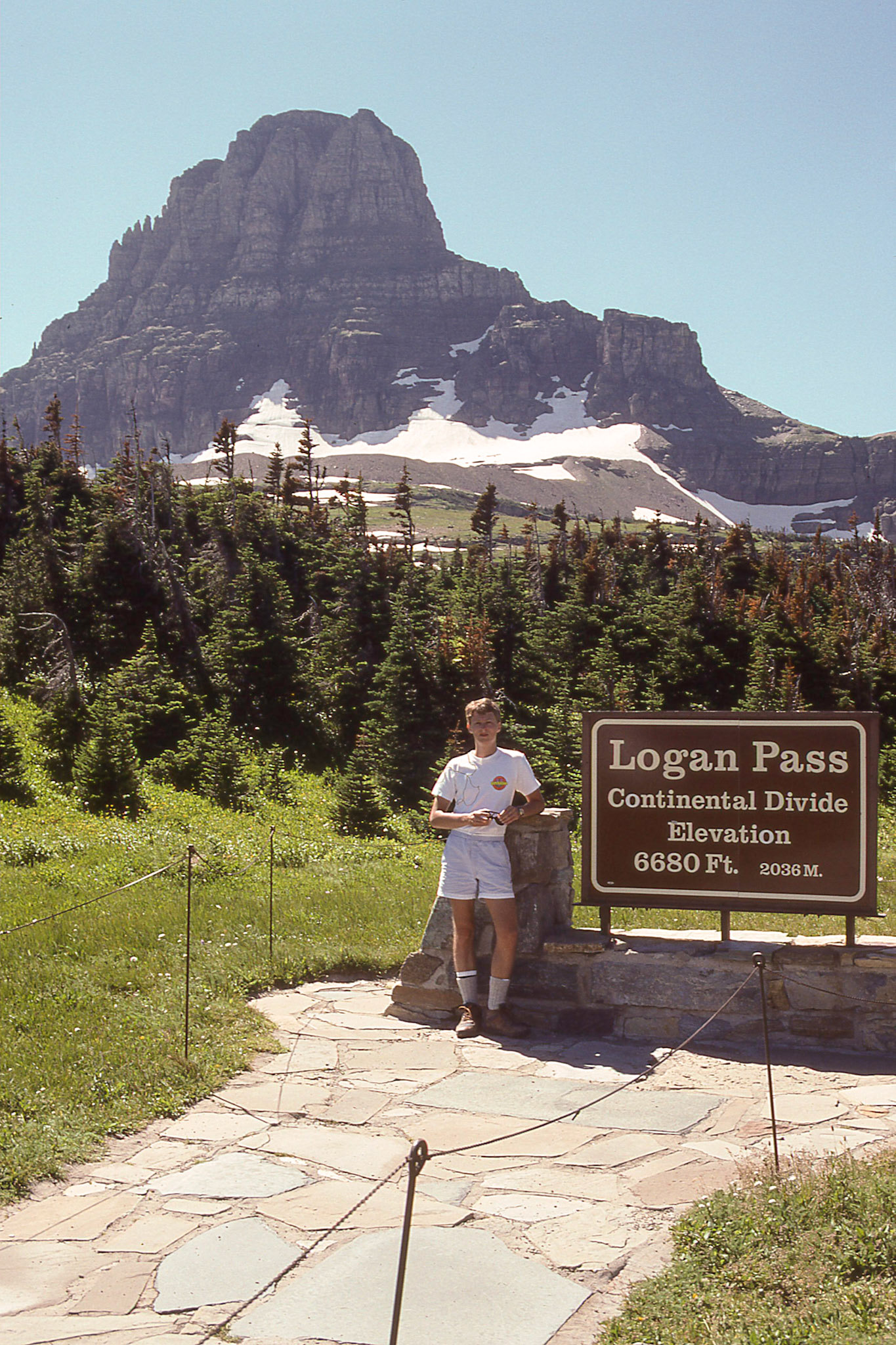 Along the Going to the Sun Road is a site that must not be missed. Logan's Pass has trails, wildlife, and beautiful mountain views.