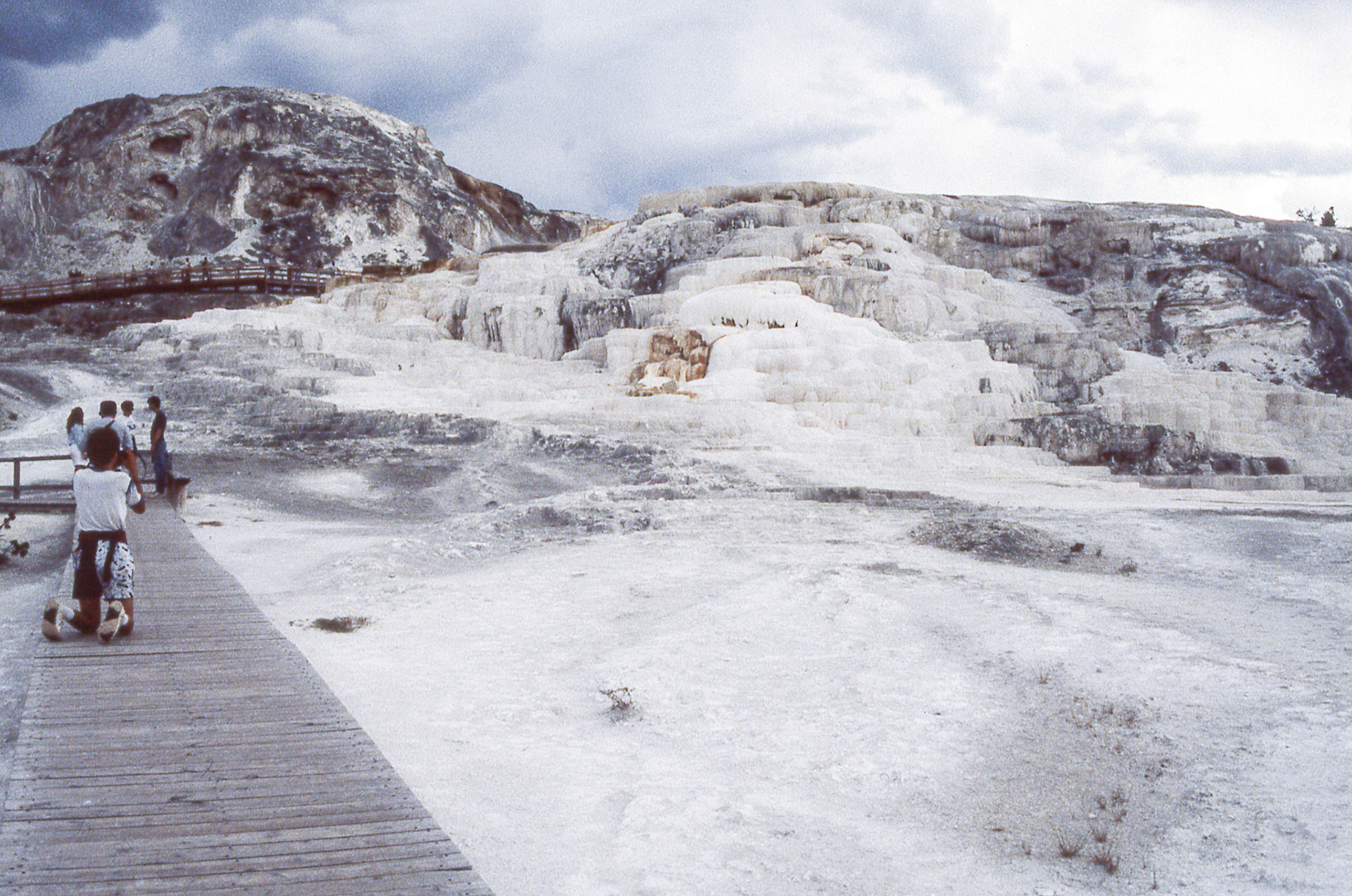 Mammoth Hot Springs at Yellowstone Park