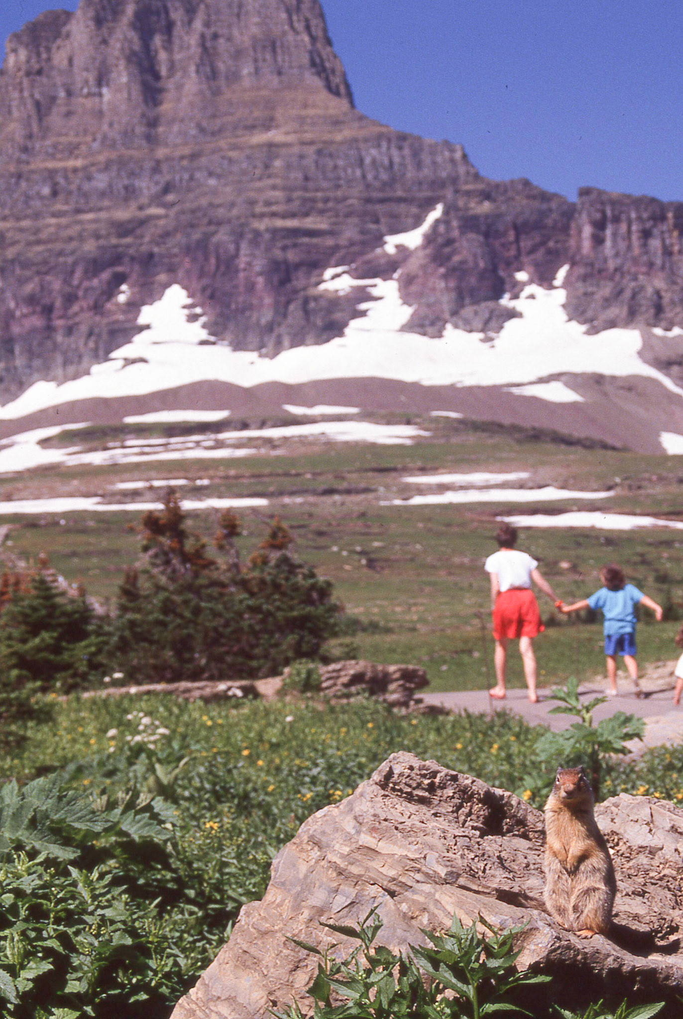 Views from Logan's Pass