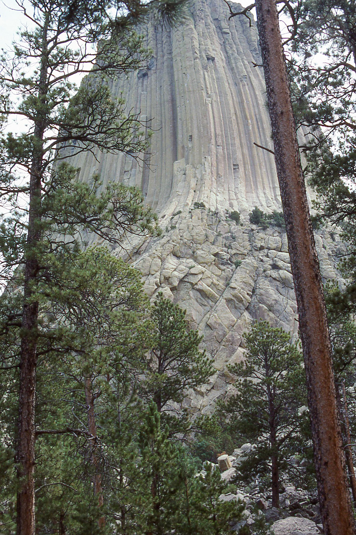Devil's Tower