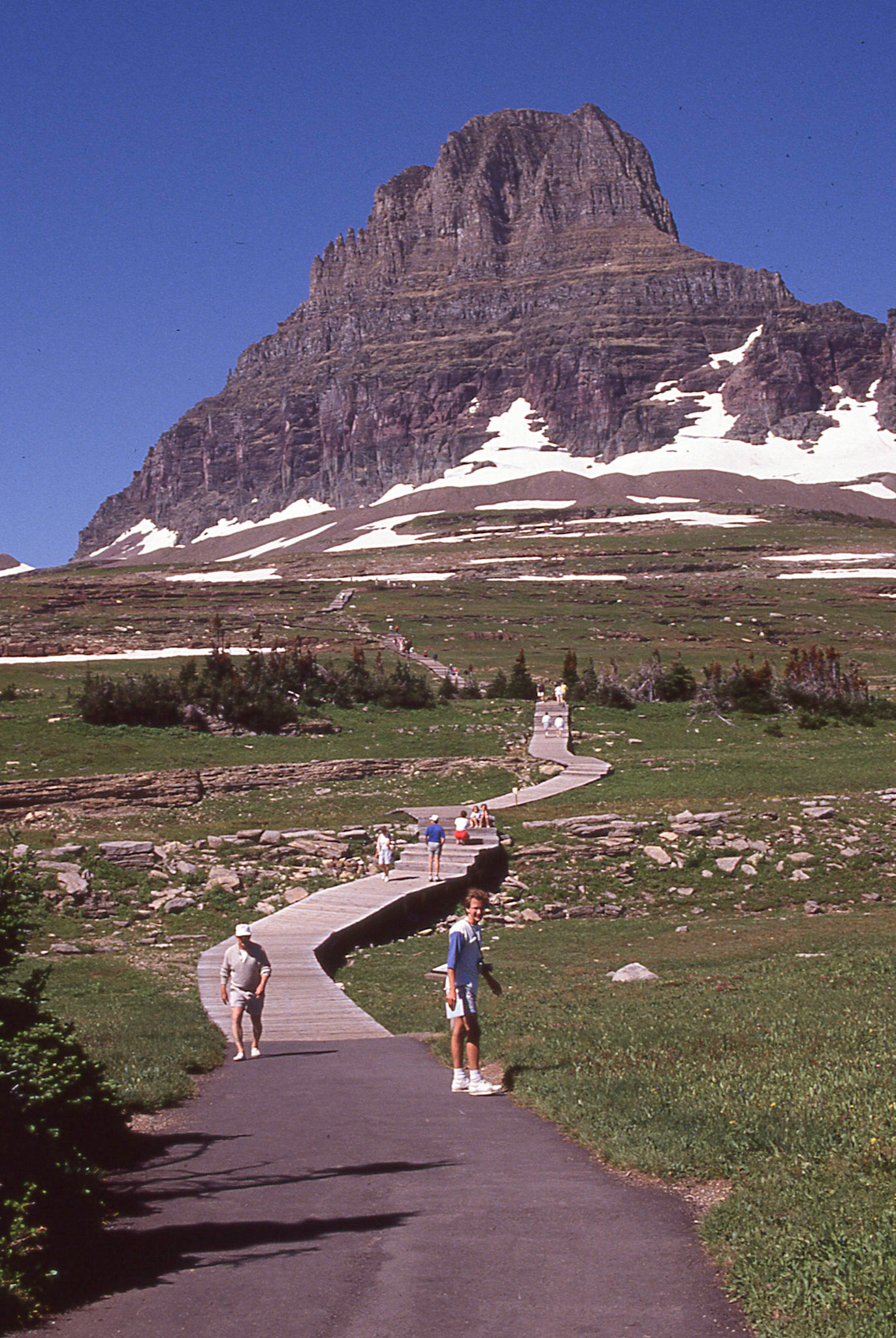 Views from Logan's Pass