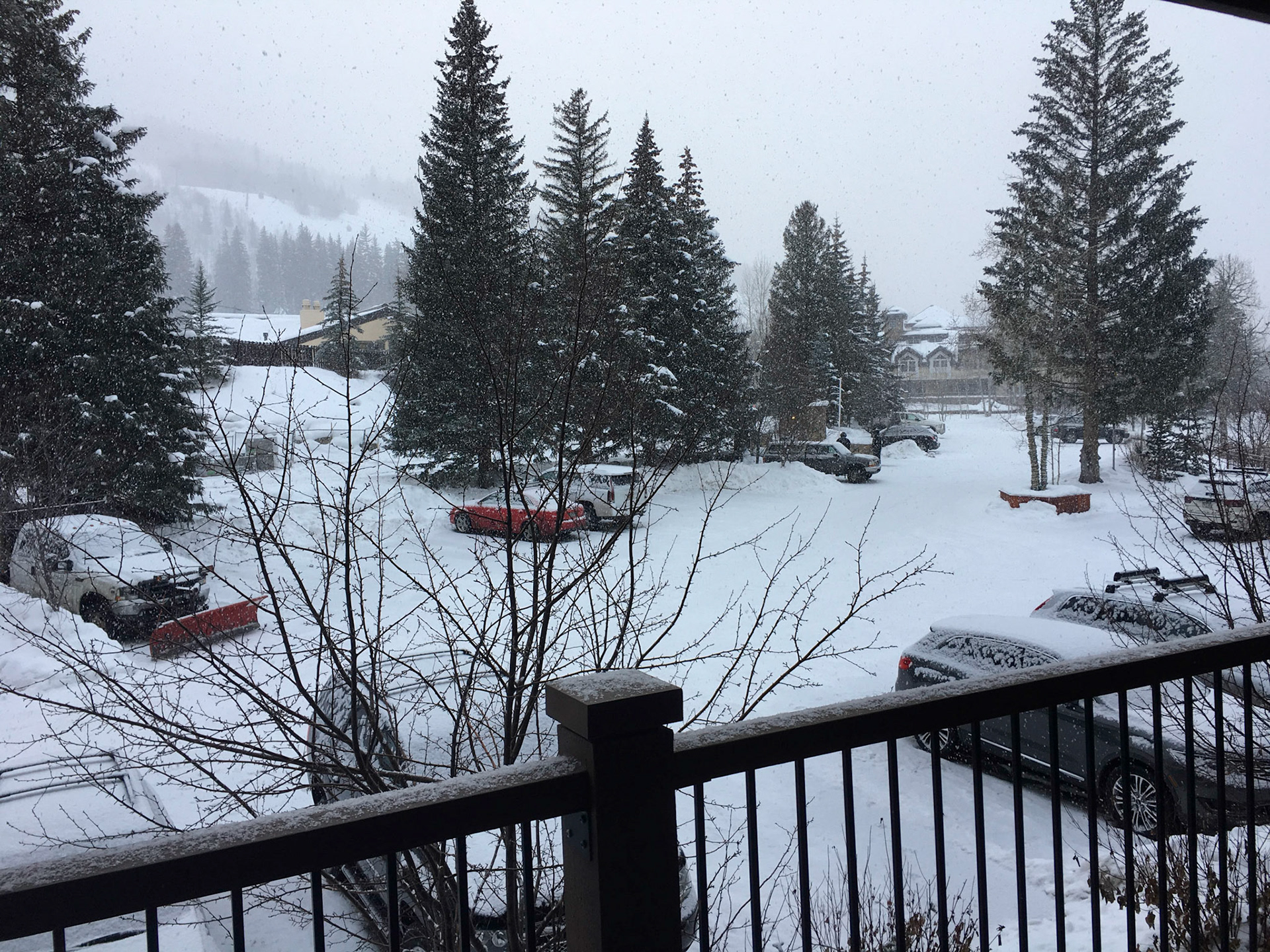 Fresh snow overnight