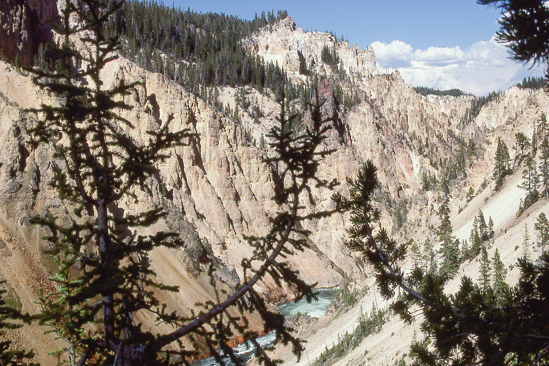 Canyon at Yellowstone Park