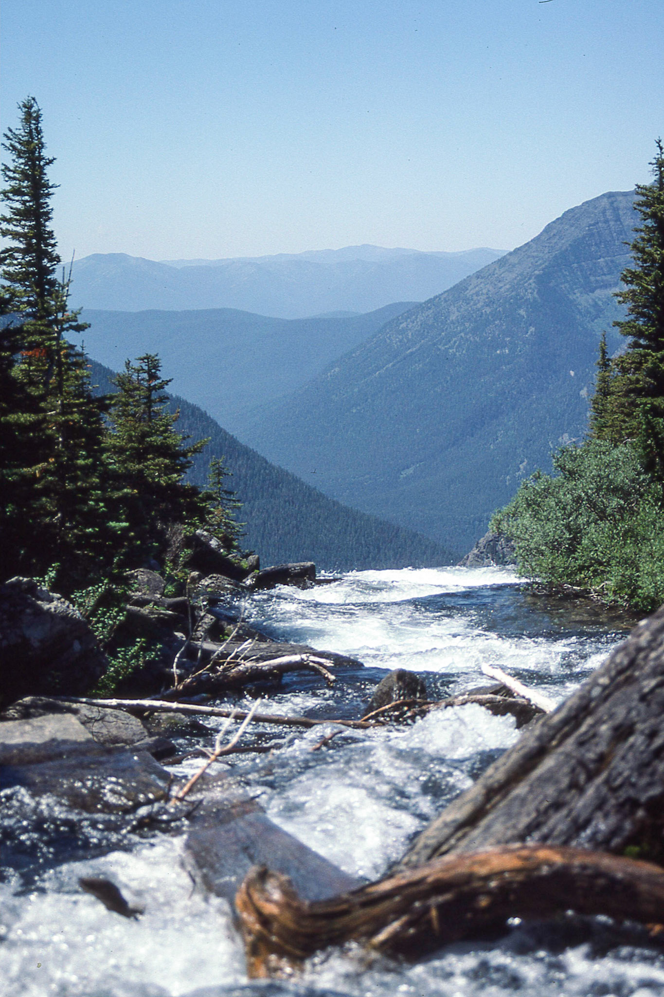 Views from Logan's Pass