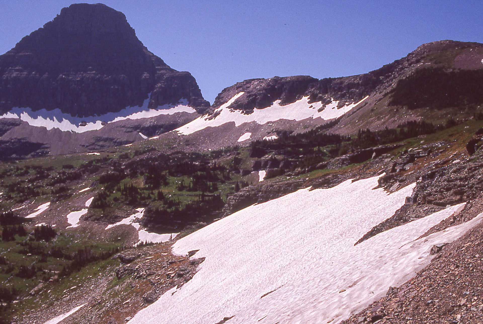 Views from Logan's Pass