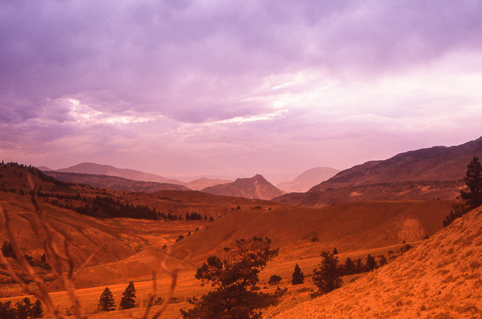 Koken filters were all the rage in photography back in the day.