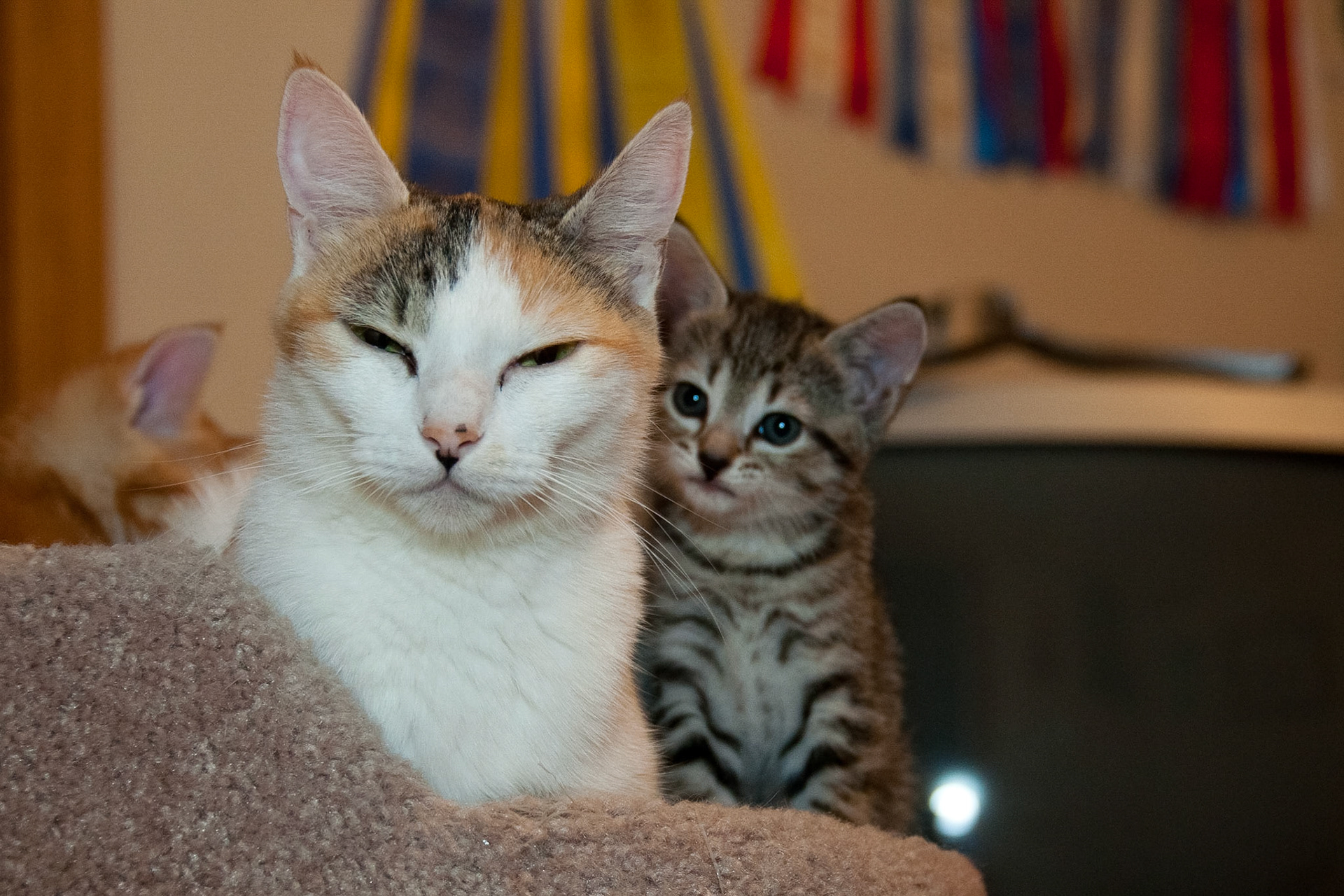 Rue snuggles next to her mother, Katniss