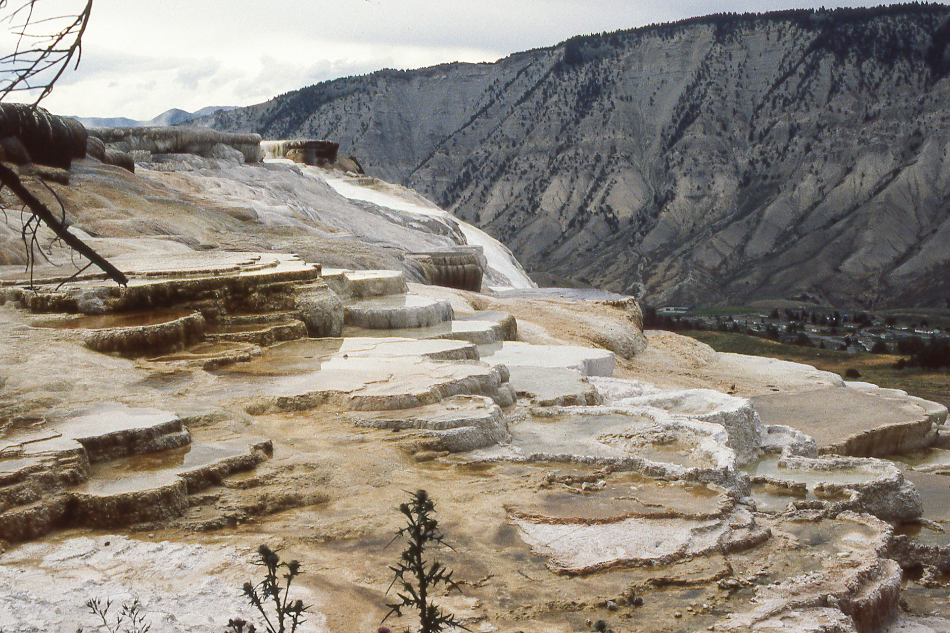 Mammoth Hot Springs at Yellowstone Park