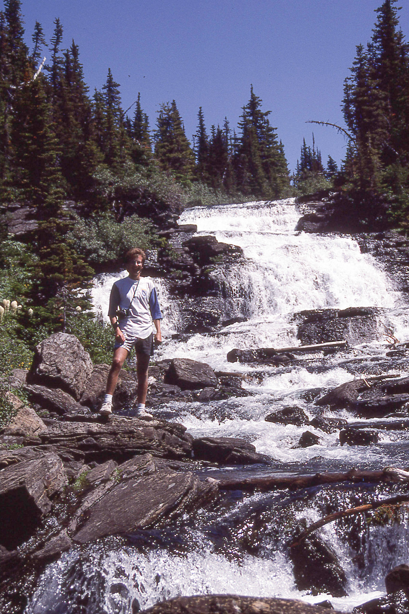 Views from Logan's Pass