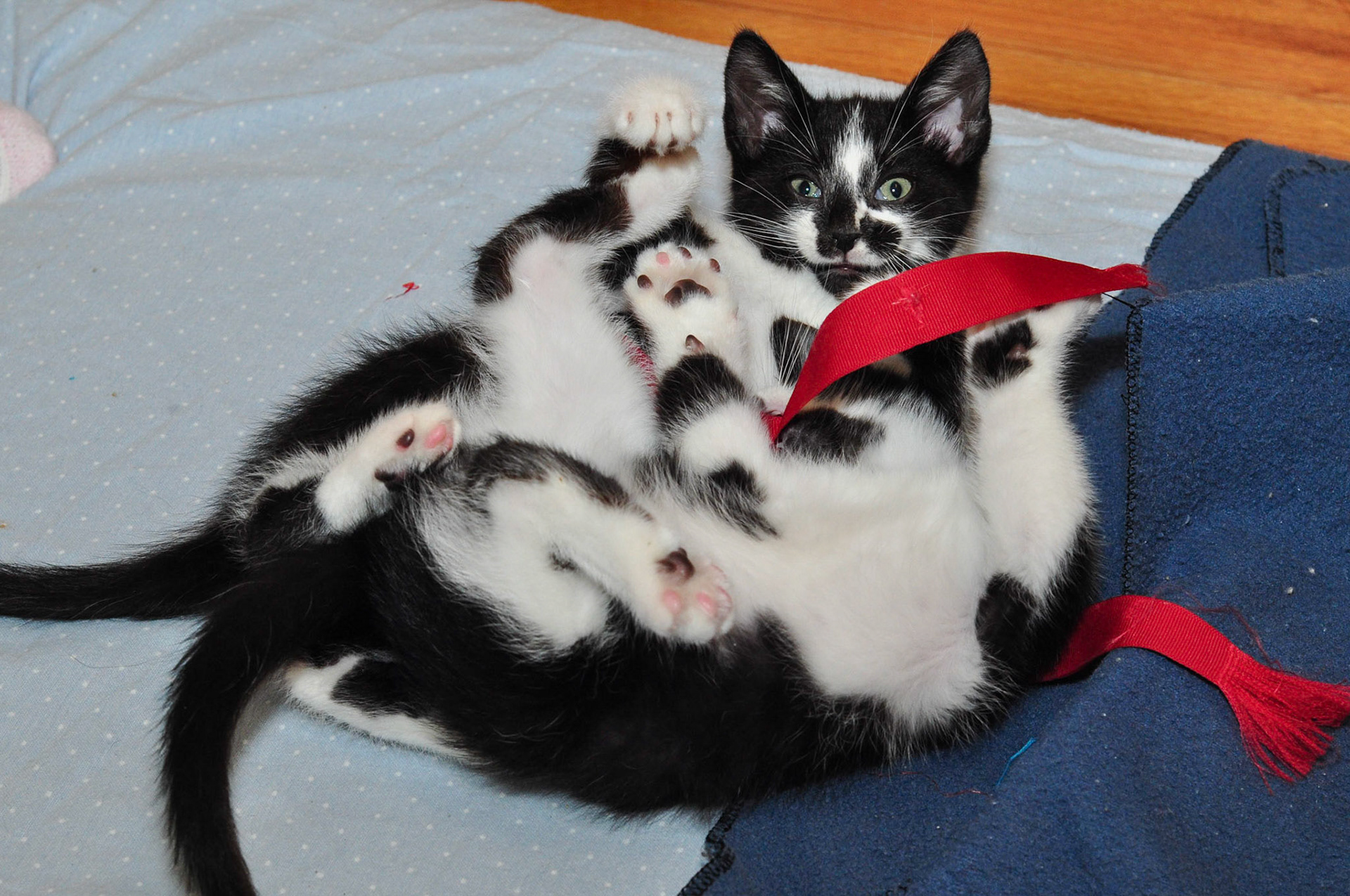 Cartier gets tangled up with Rolex