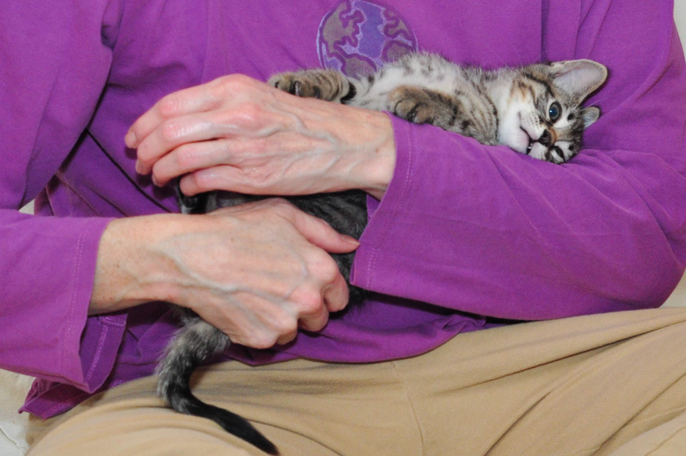 Tag gets some cuddling