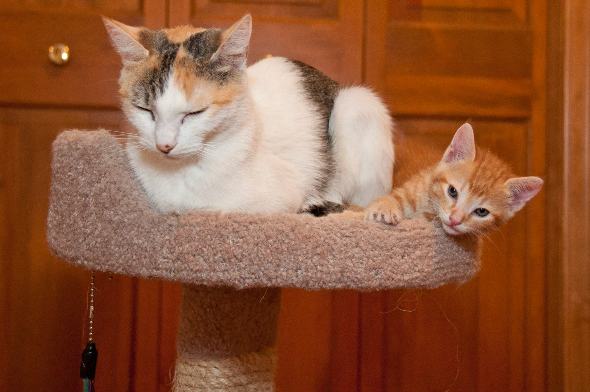 Katniss and Haymitch