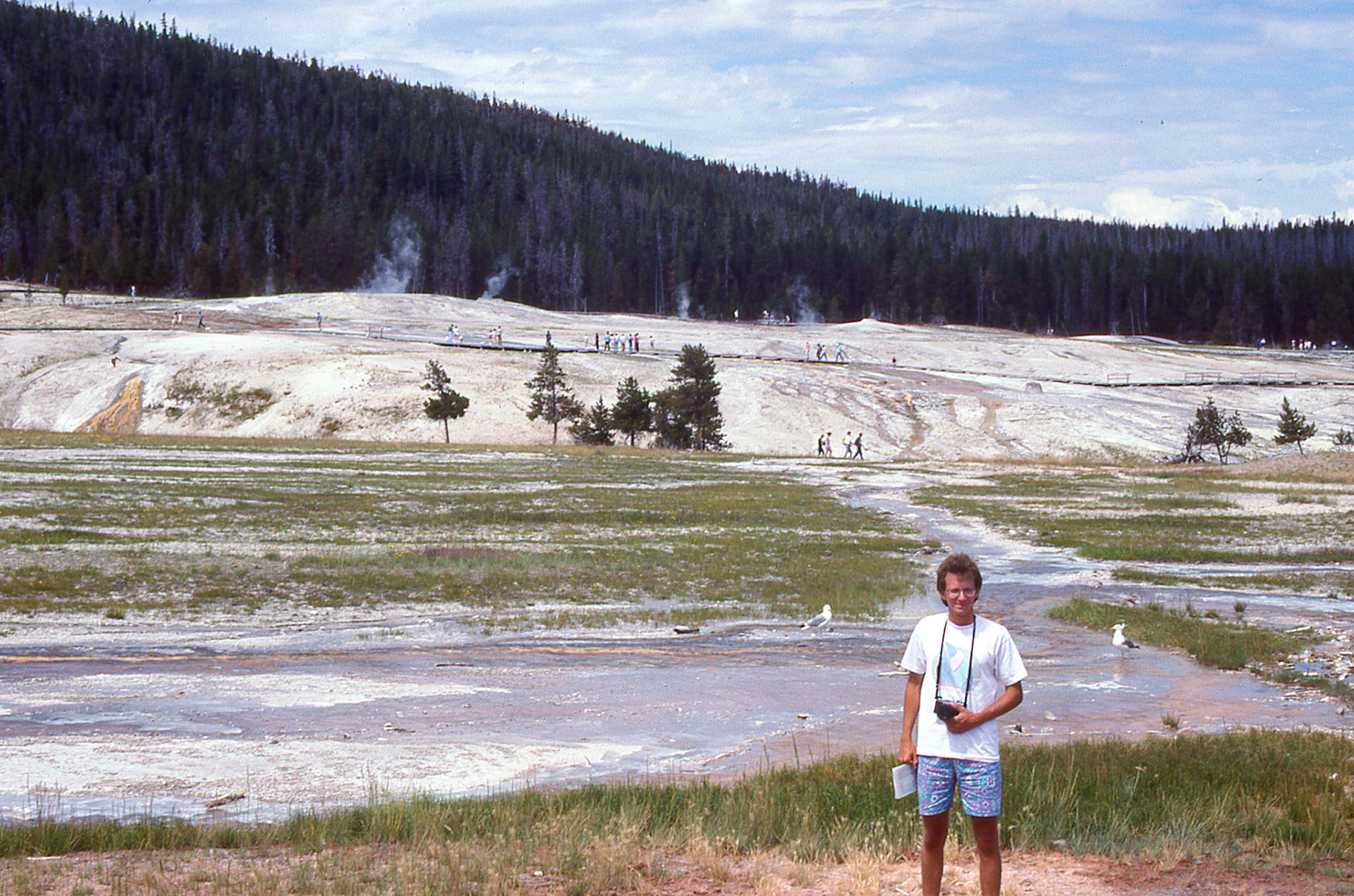 This might be the Lower Geyser Basin