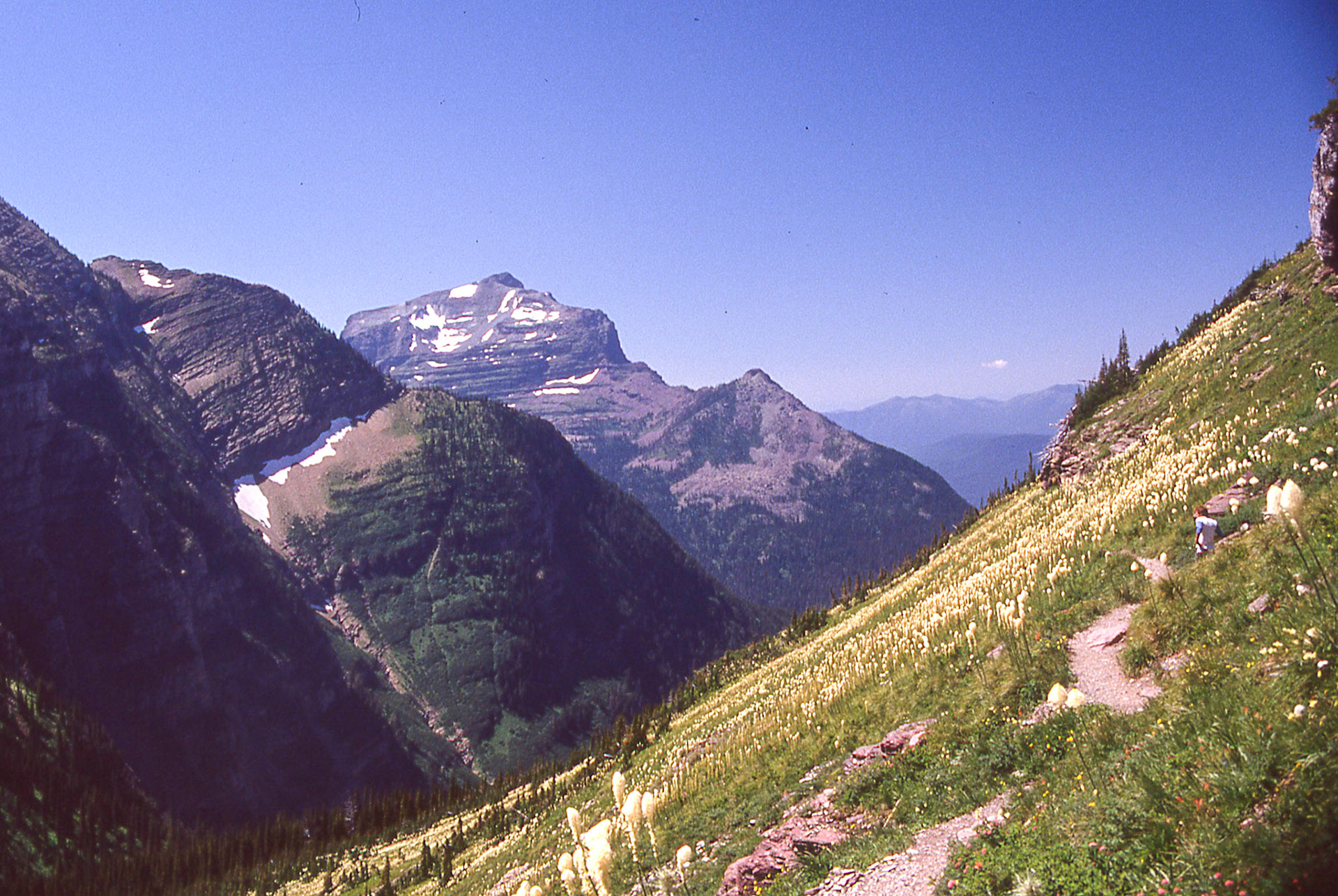 Views from Logan's Pass