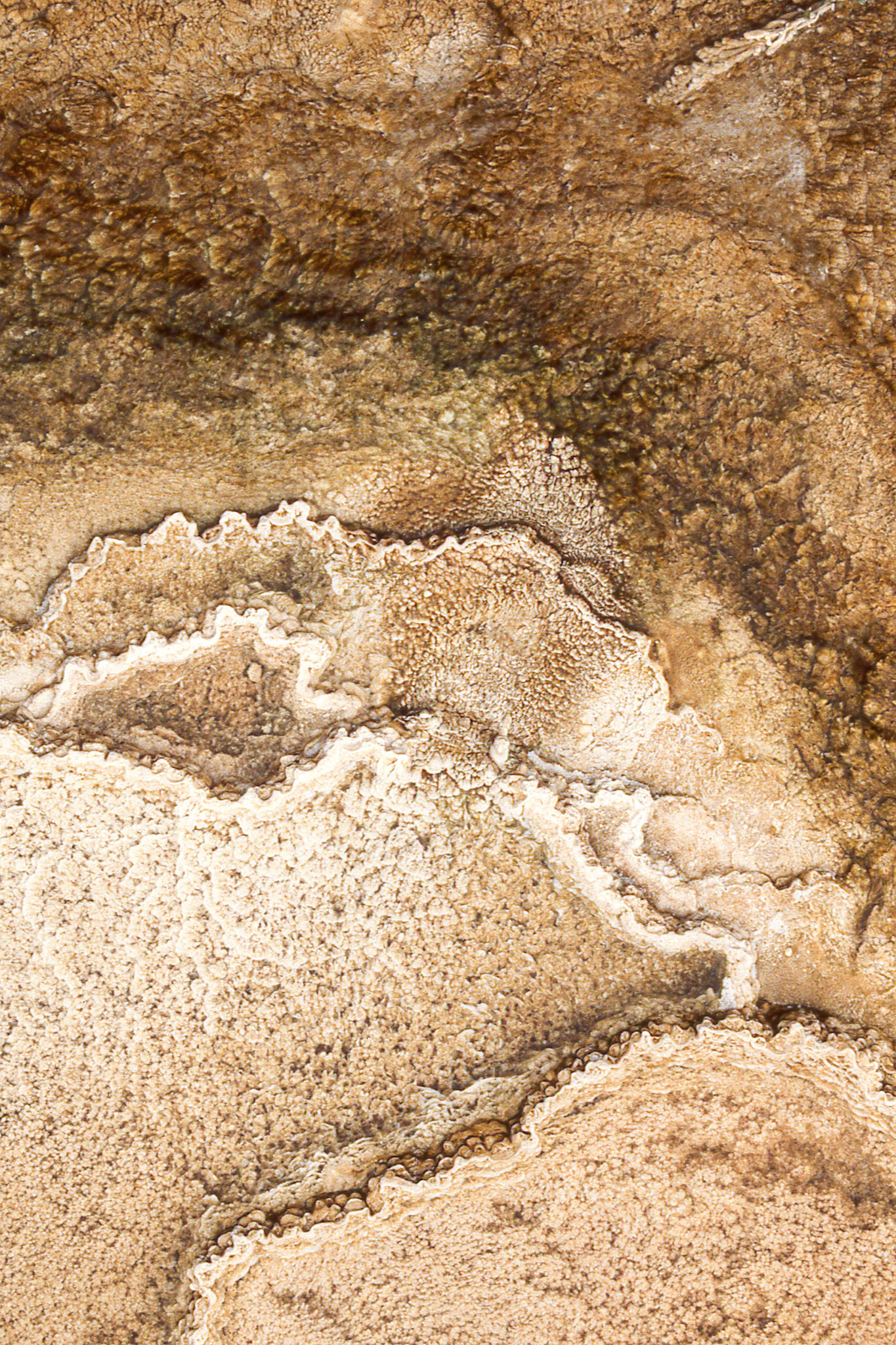 Mammoth Hot Springs at Yellowstone Park
