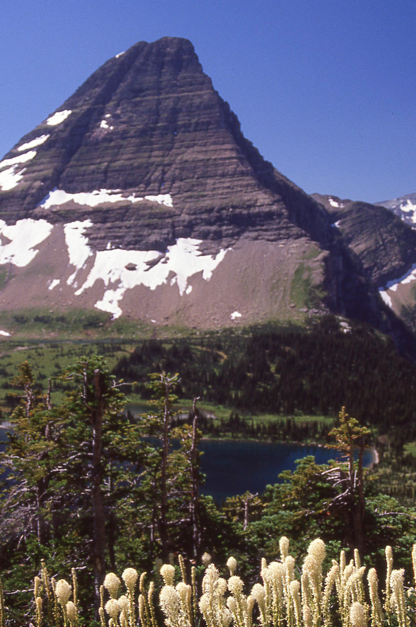 Views from Logan's Pass