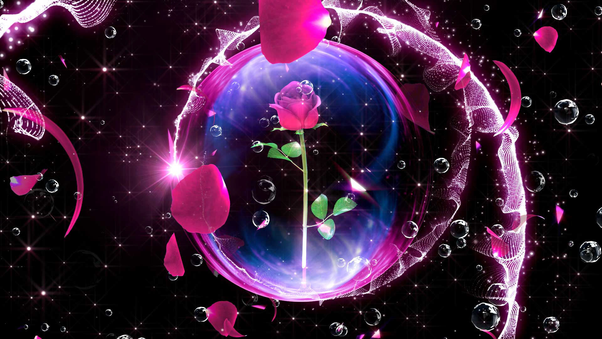 2023 Taif of Roses