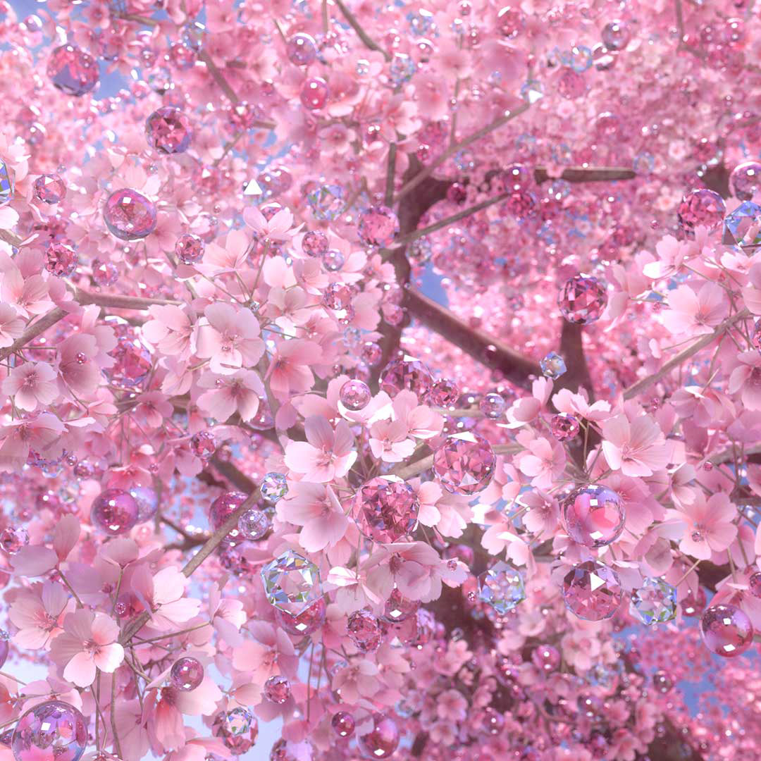 2024 9th EP "Harmonies of Flowers"