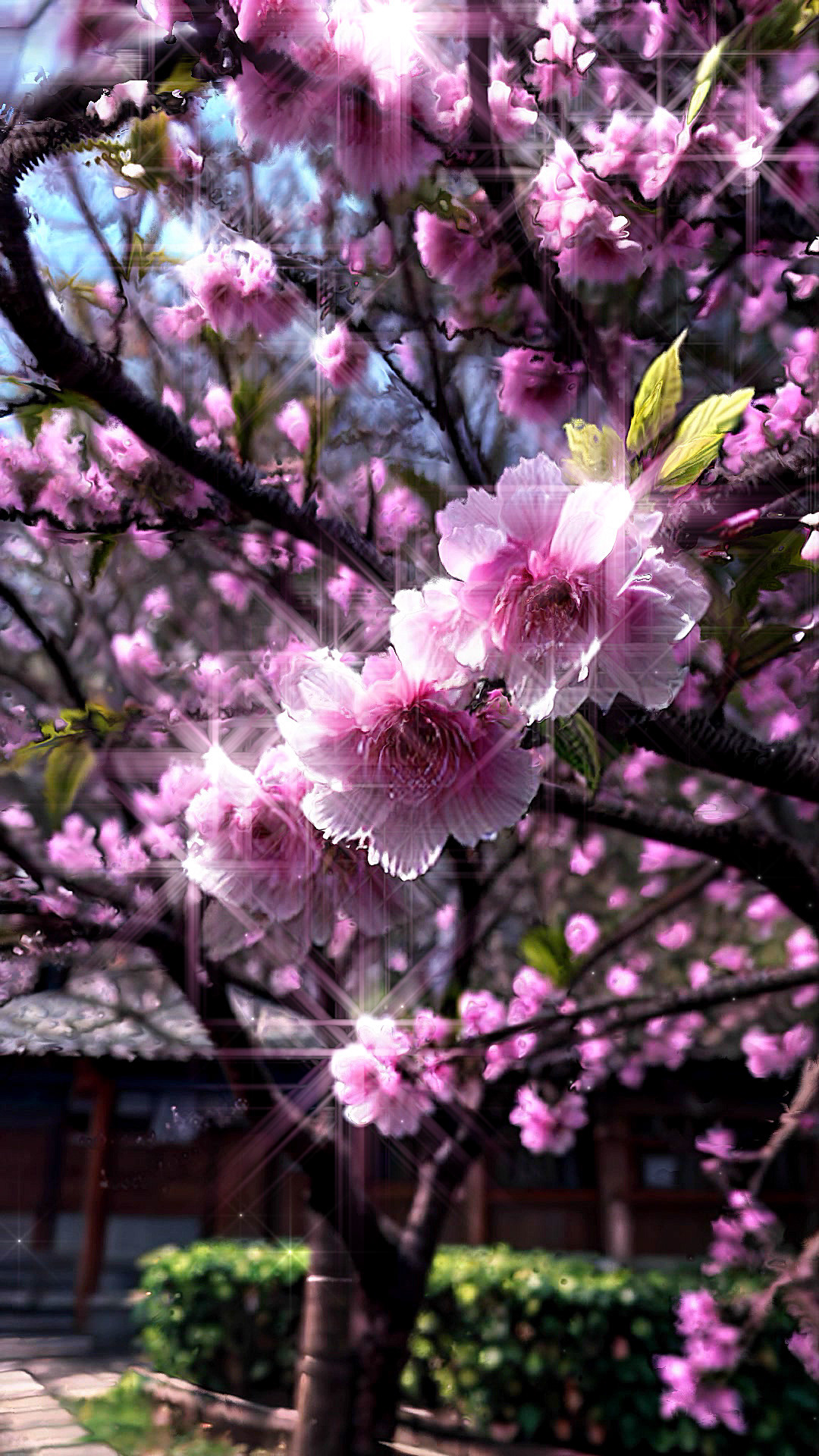 2025 Memory of Light
