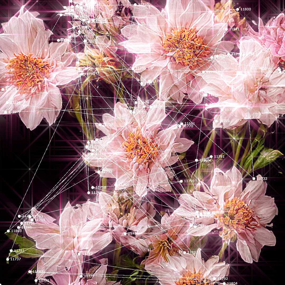 2024 Flowers In Season