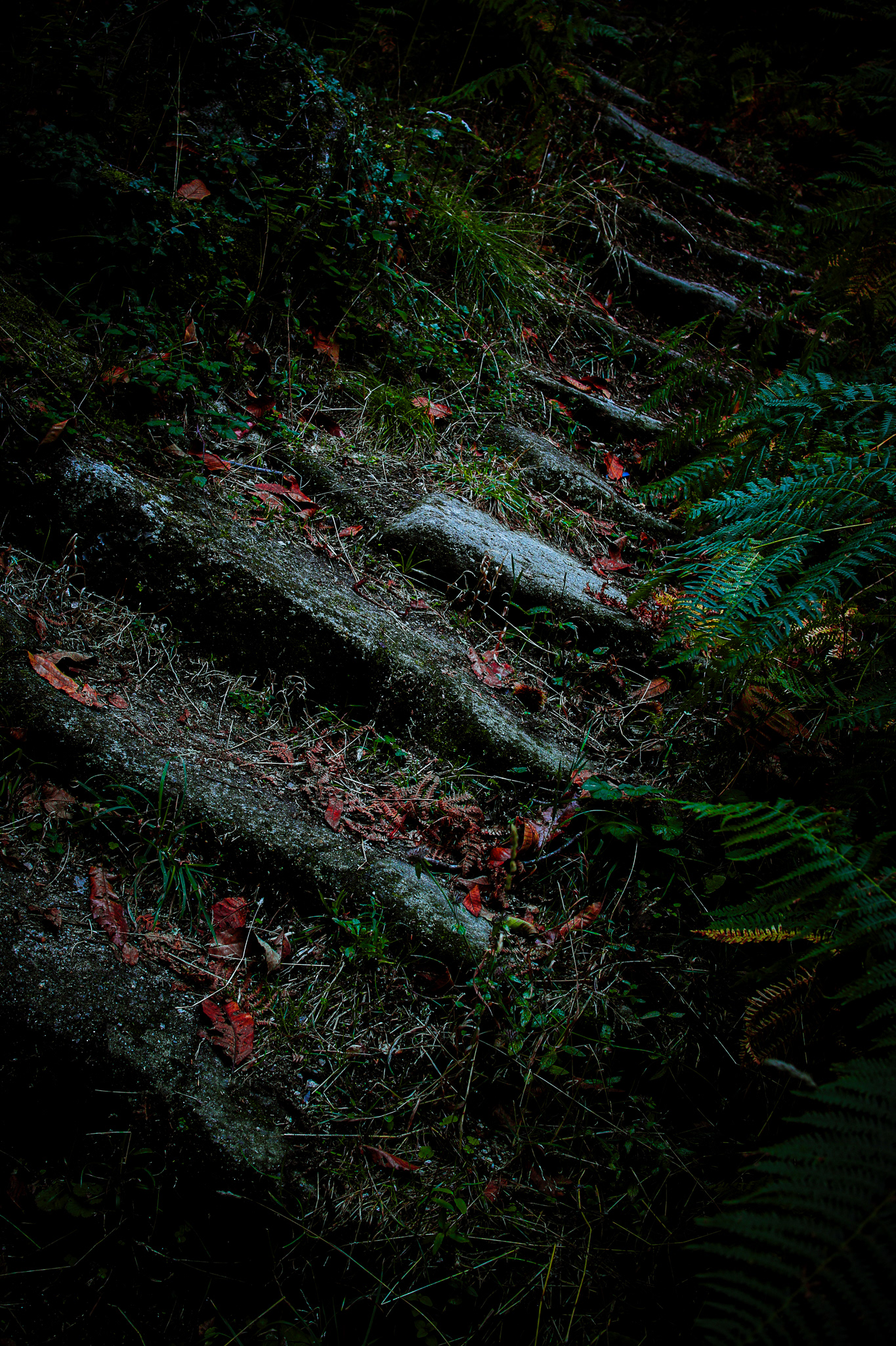 Parador de Santo Estevo