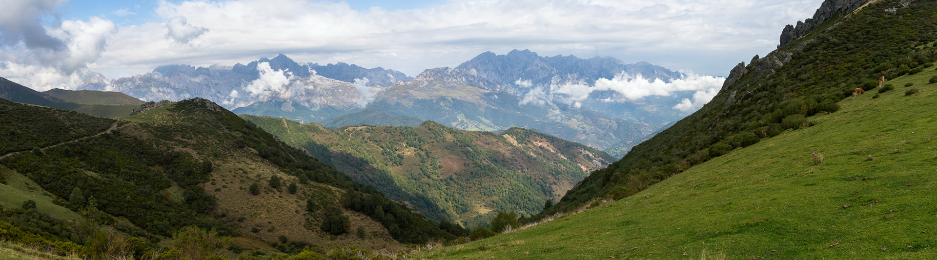 View across the Picos from Collado de Llesba