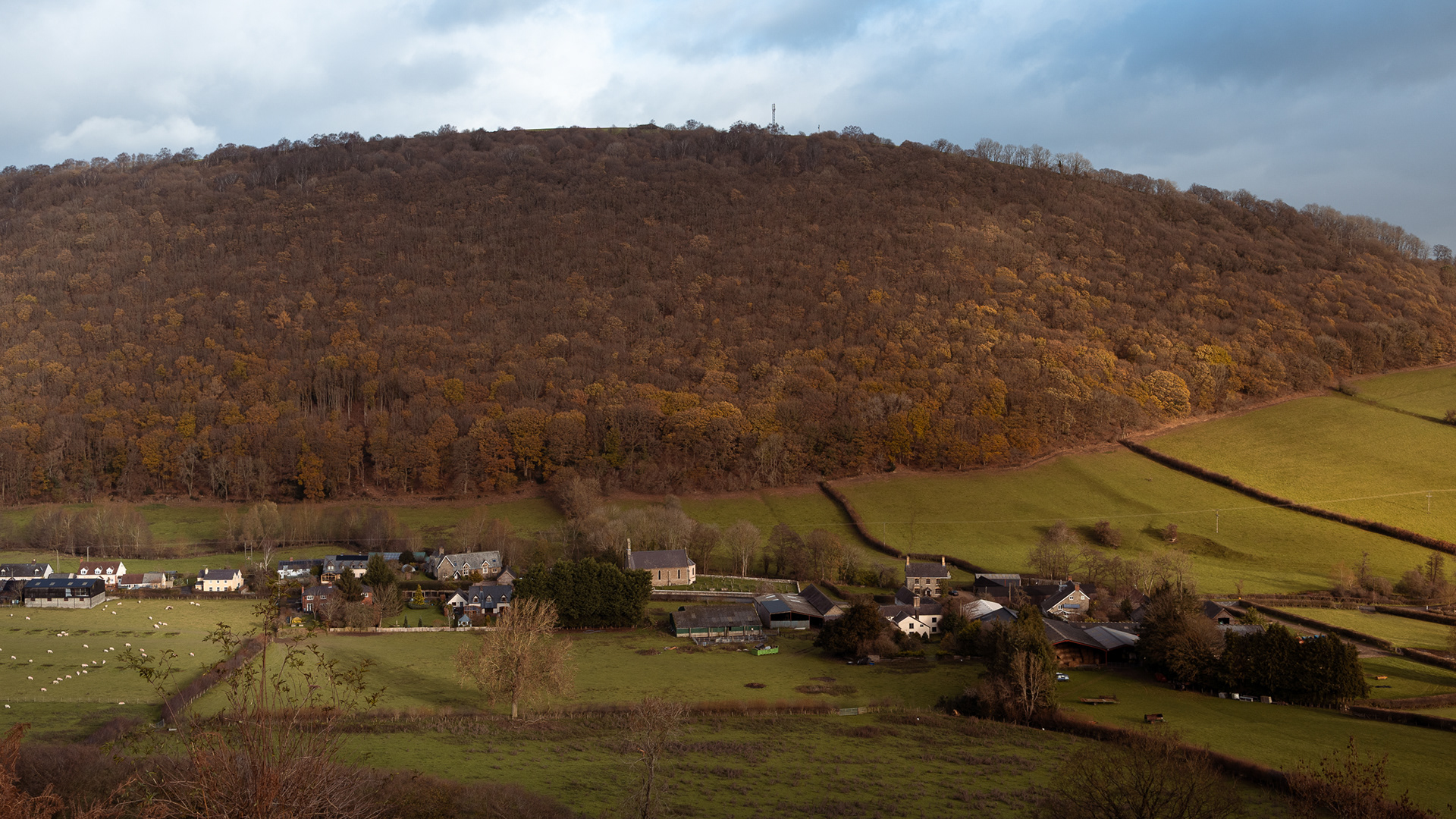 Looking down over Chapel Lawn with Breneddin Wood as a backdrop. A few weeks late for full autumnal effect, end of October next time! 