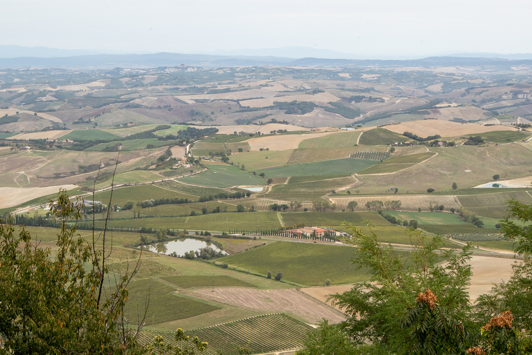 Montalcino