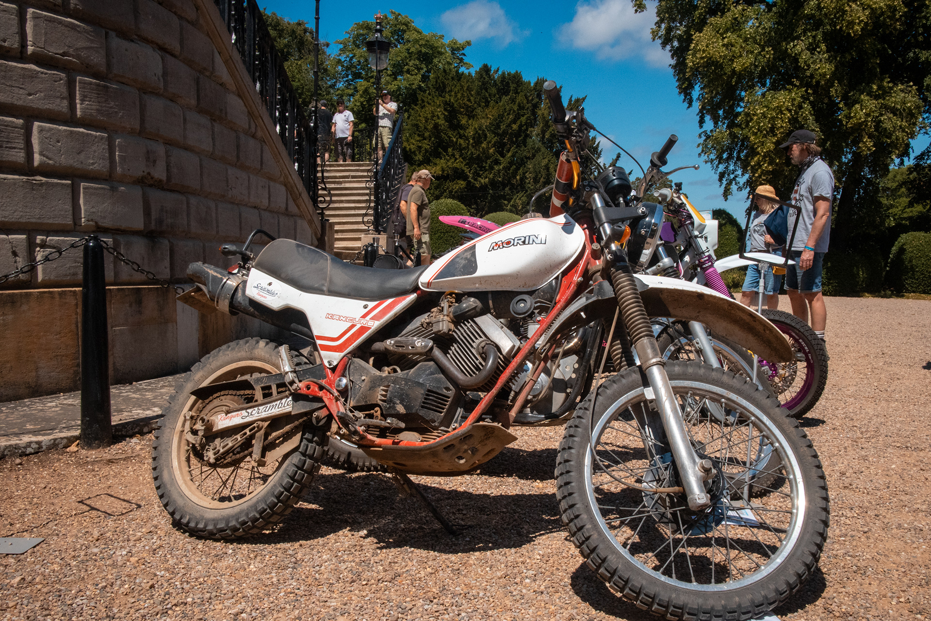 A rare Morini!