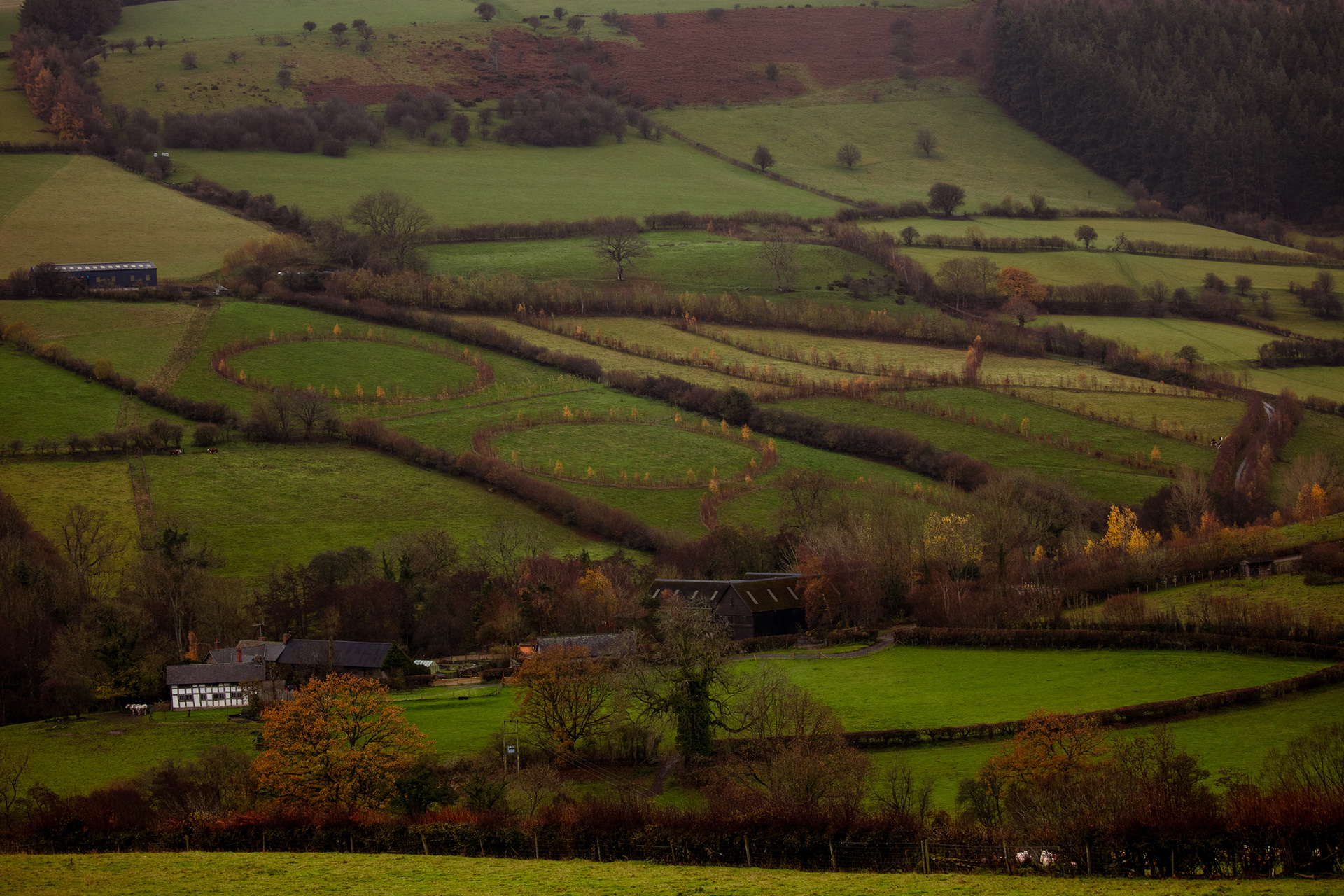 Interesting planting in the fields ! 