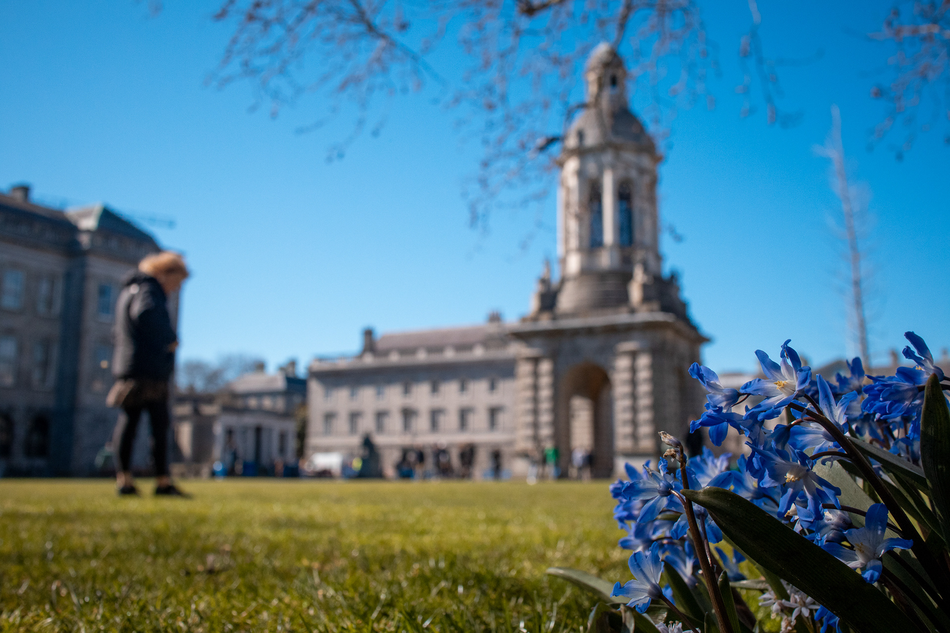 Trinity College