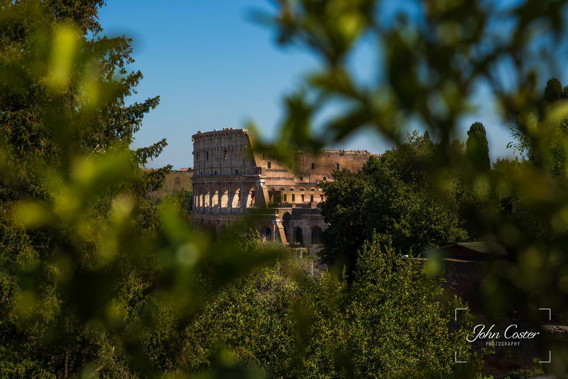 Colosseum viewed from Palatine Hill