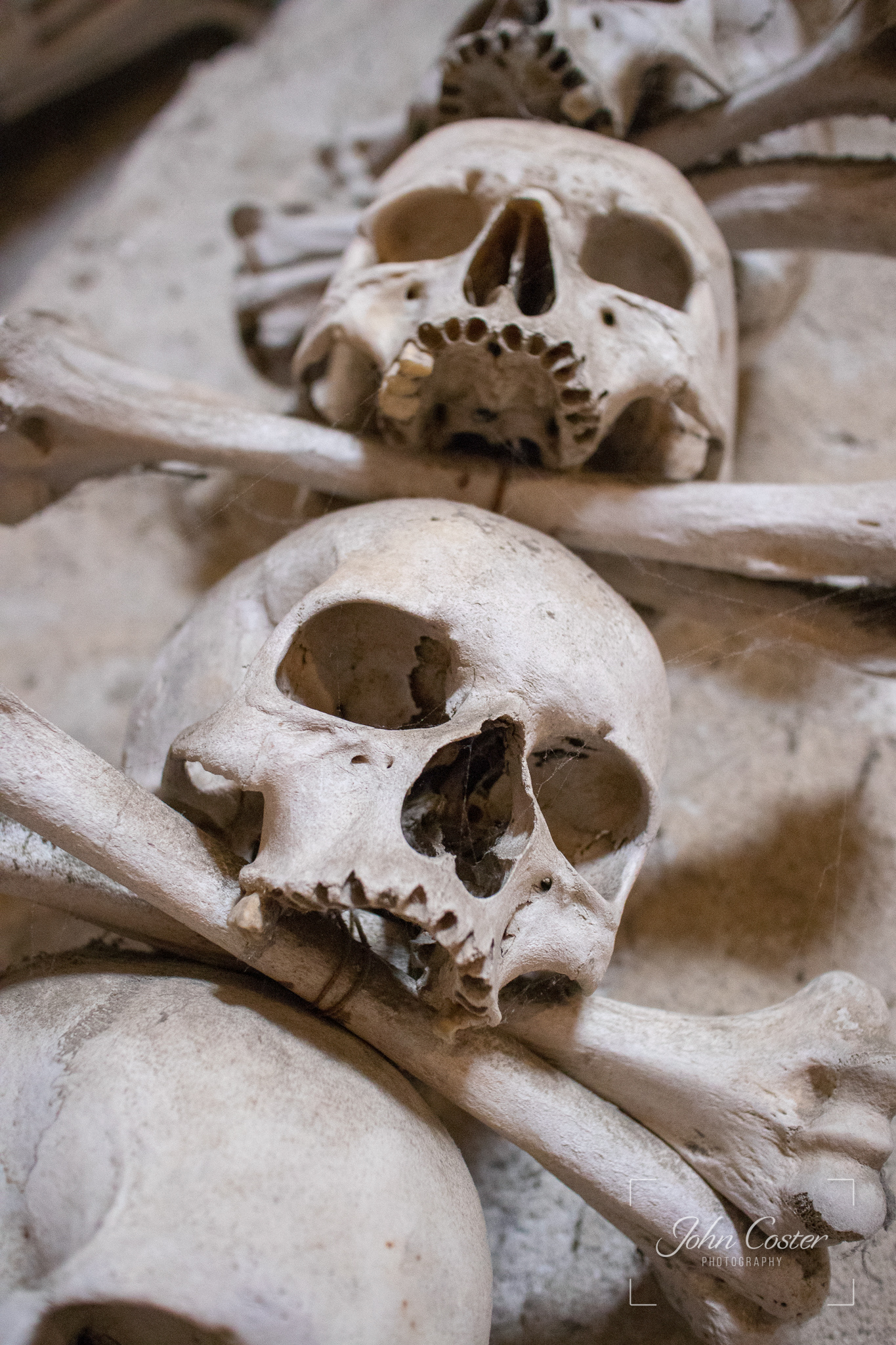 Sedlec Ossuary (Church of Bones)