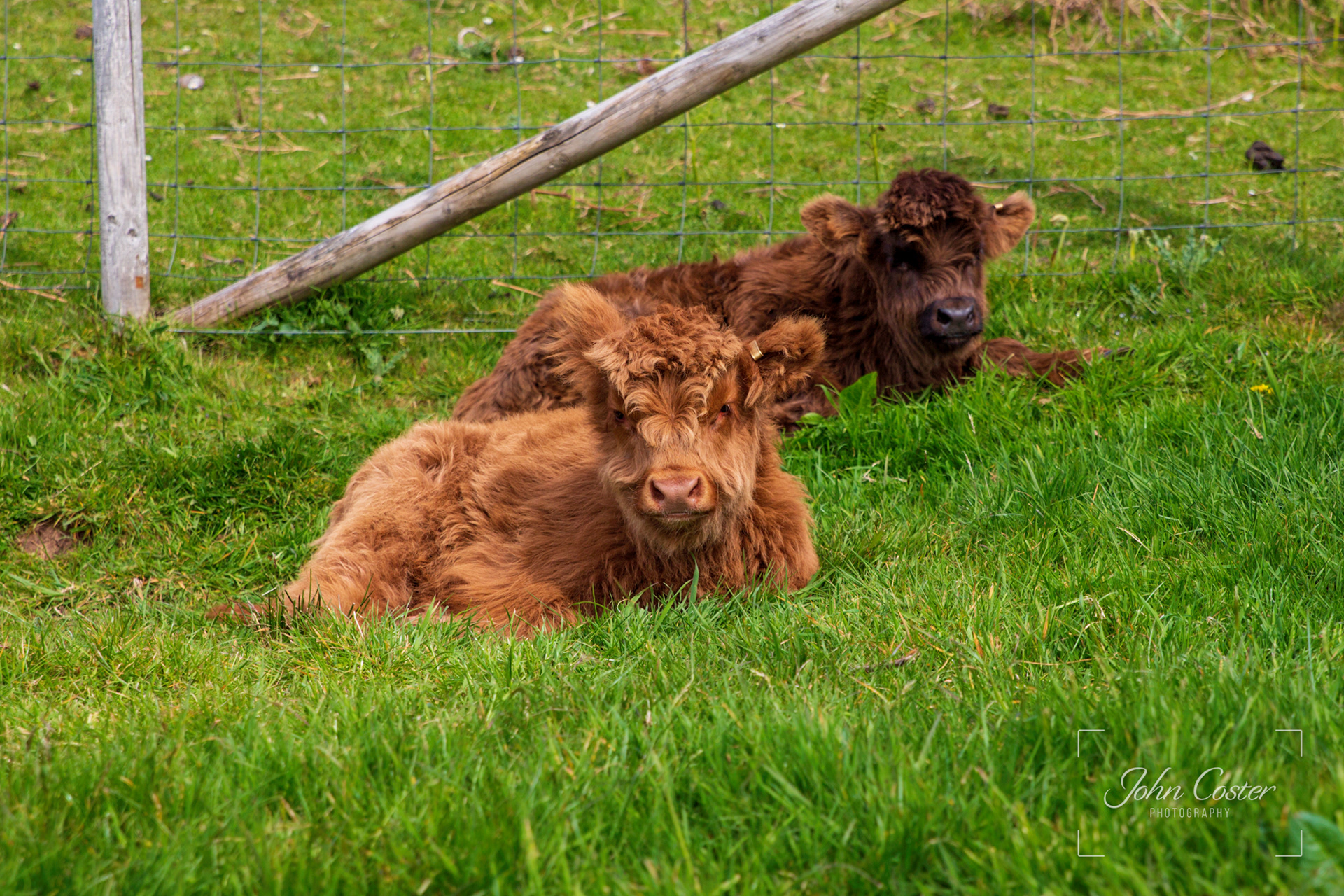 Overload of cute!