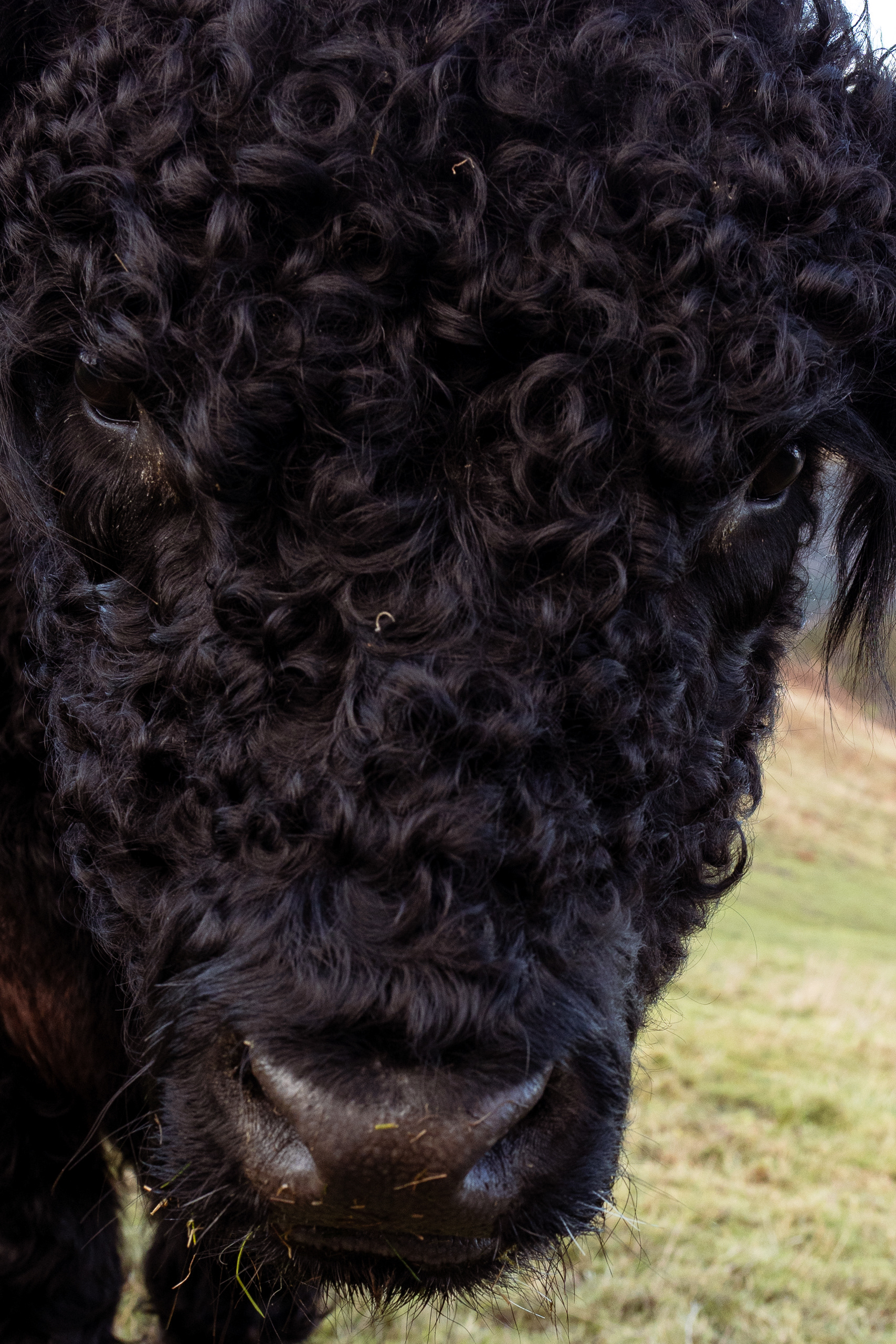 Oi, don't push me lol!! 