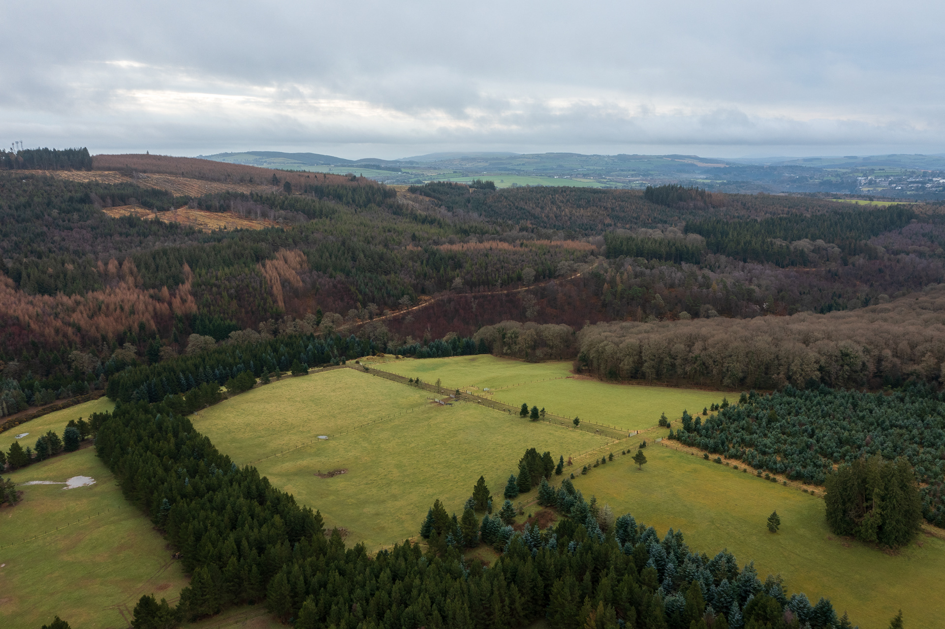 Views from above the cottage!