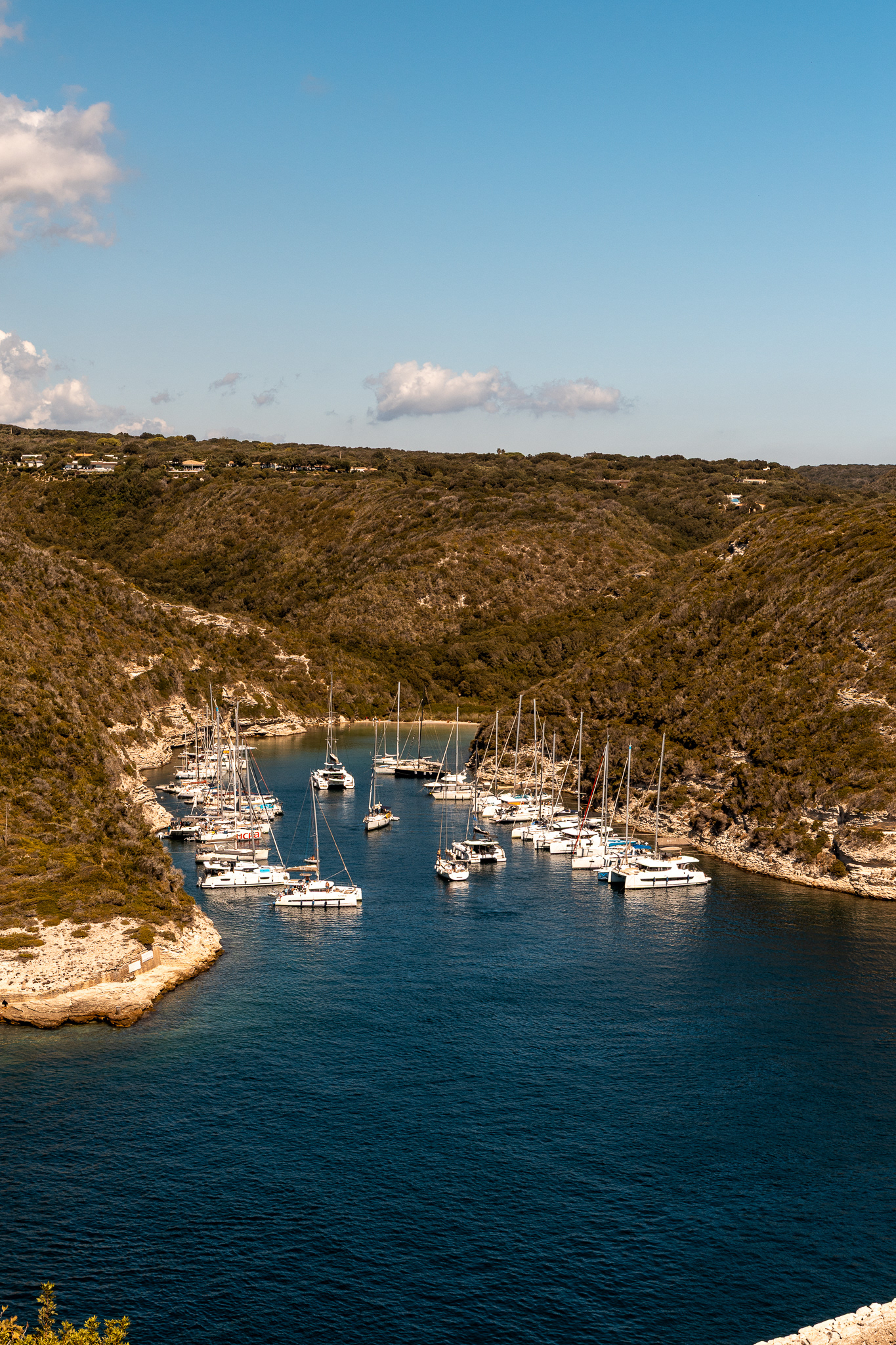 Bonifacio