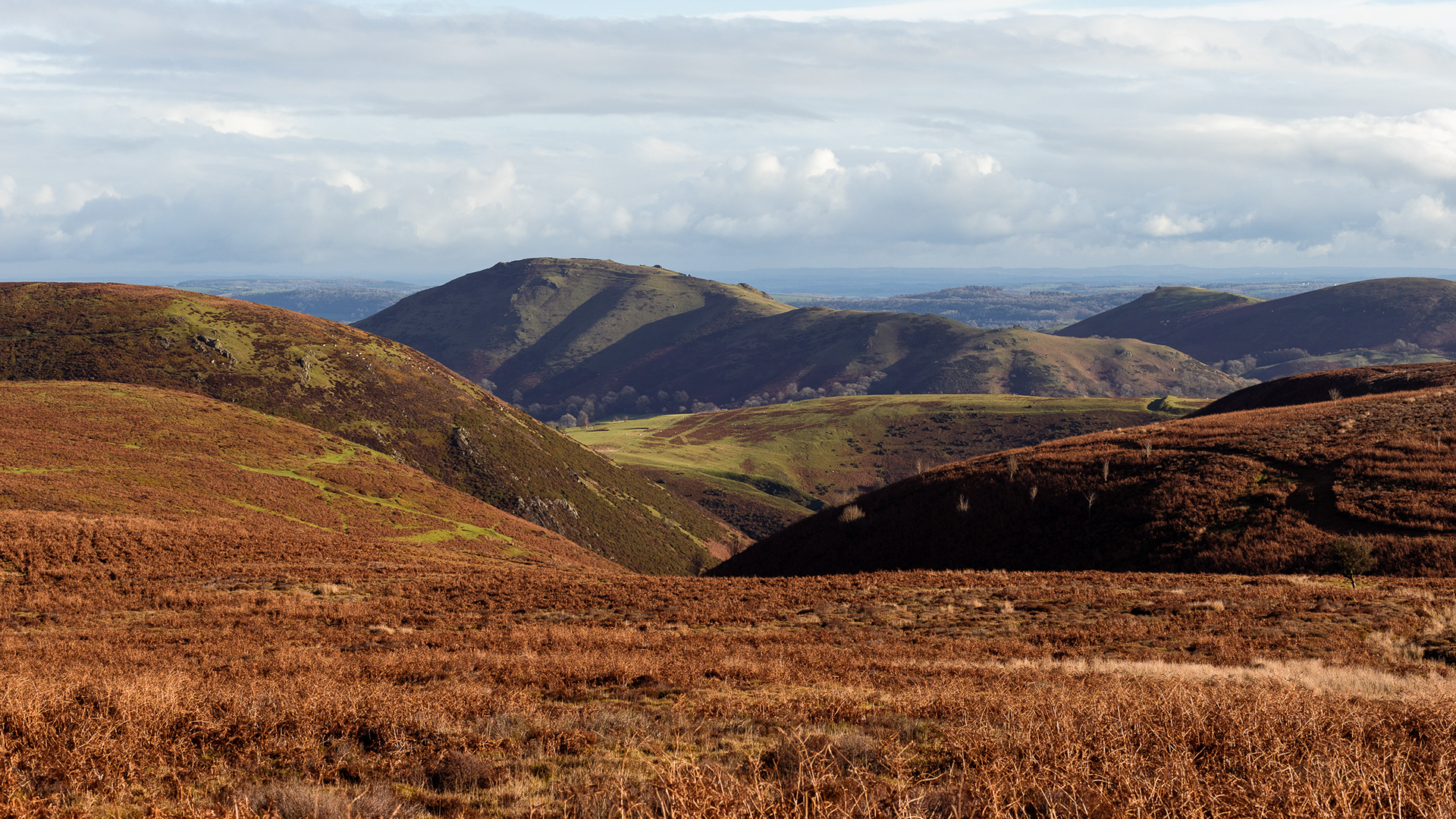 I am more than impressed with Shropshire! 