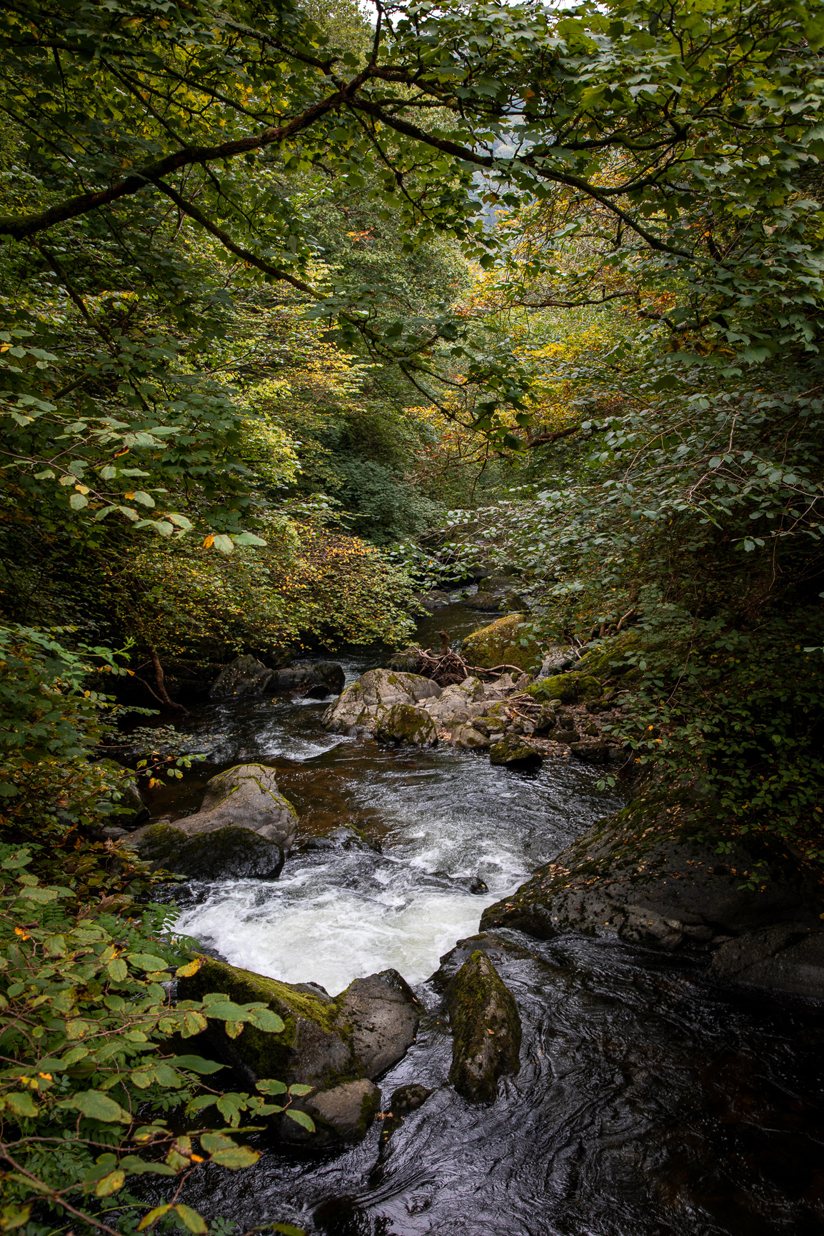 Walking up to Watersmeet