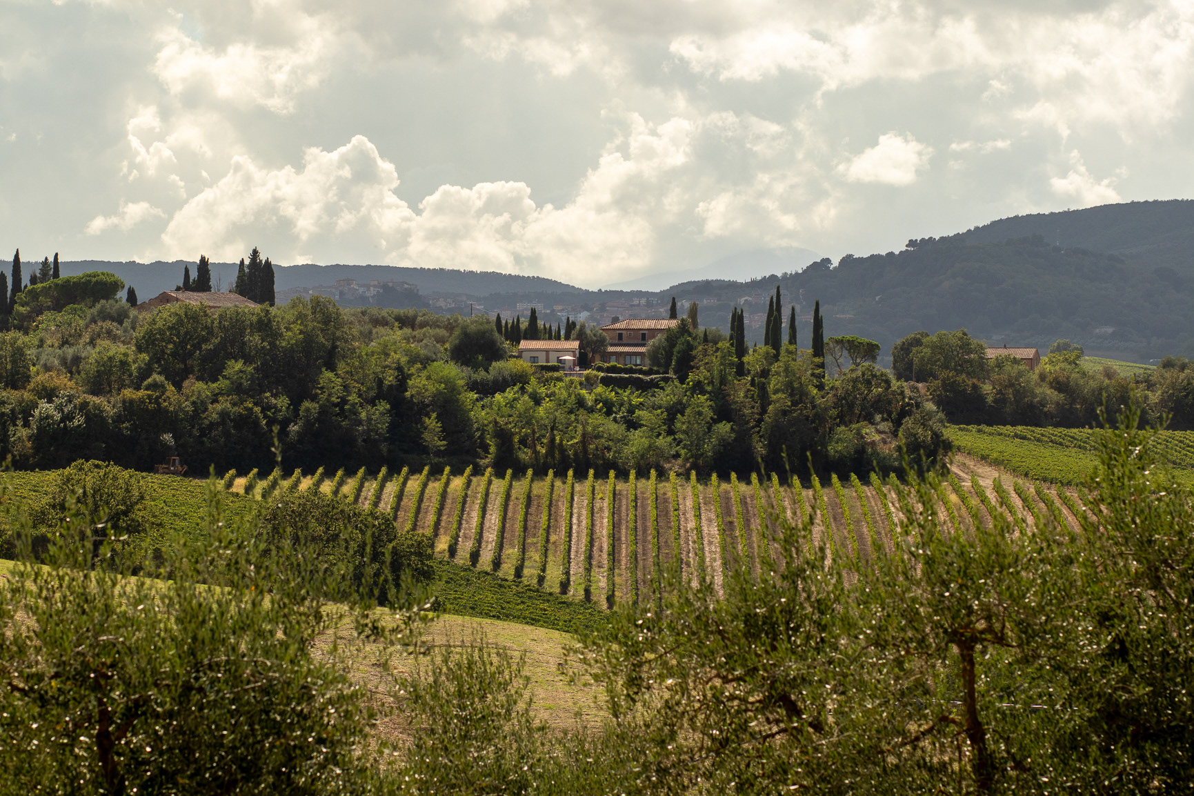 Views around Villa Grazianella & Fattoria Del Cerro