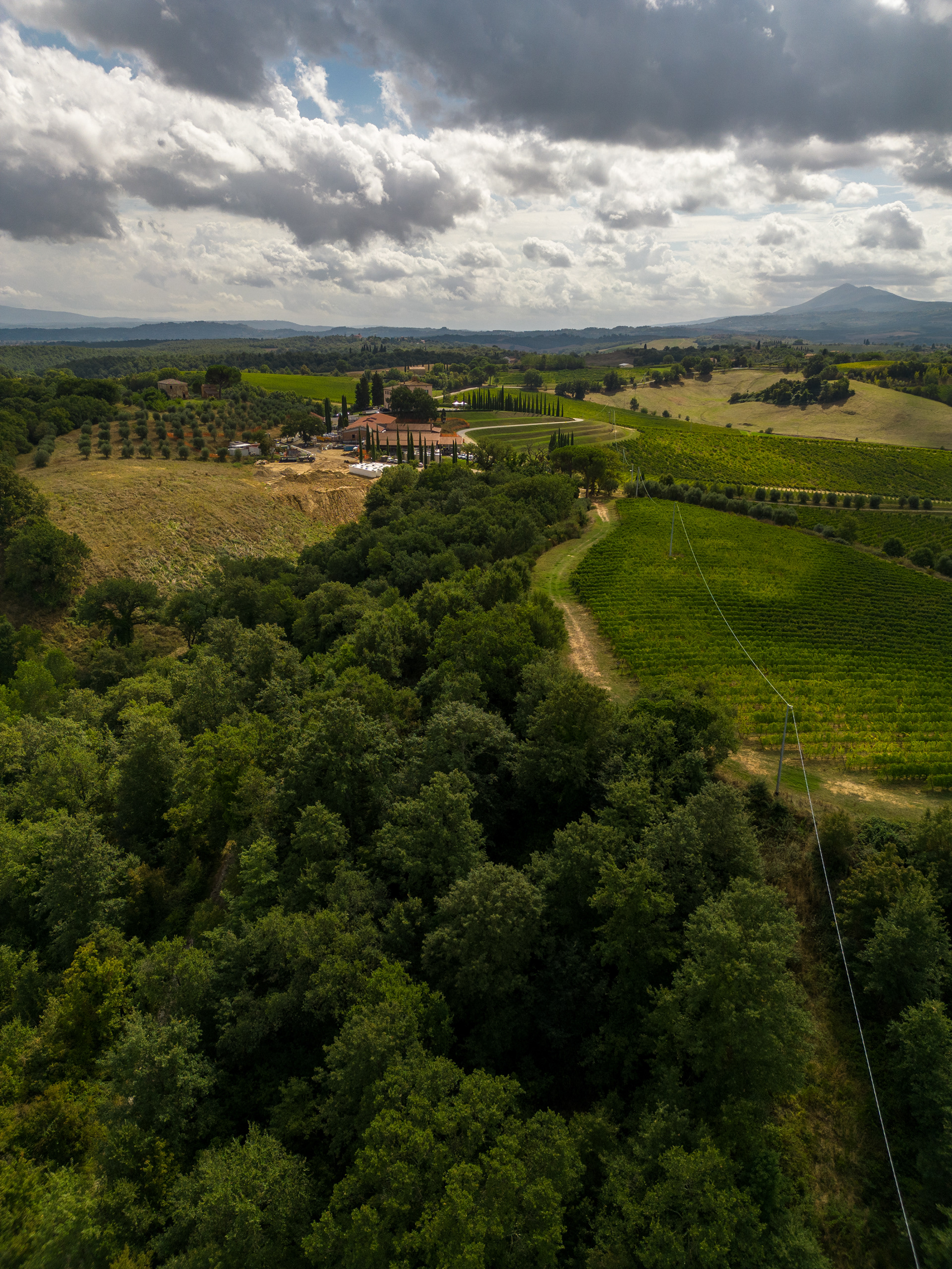 Villa Grazianella & Fattoria Del Cerro