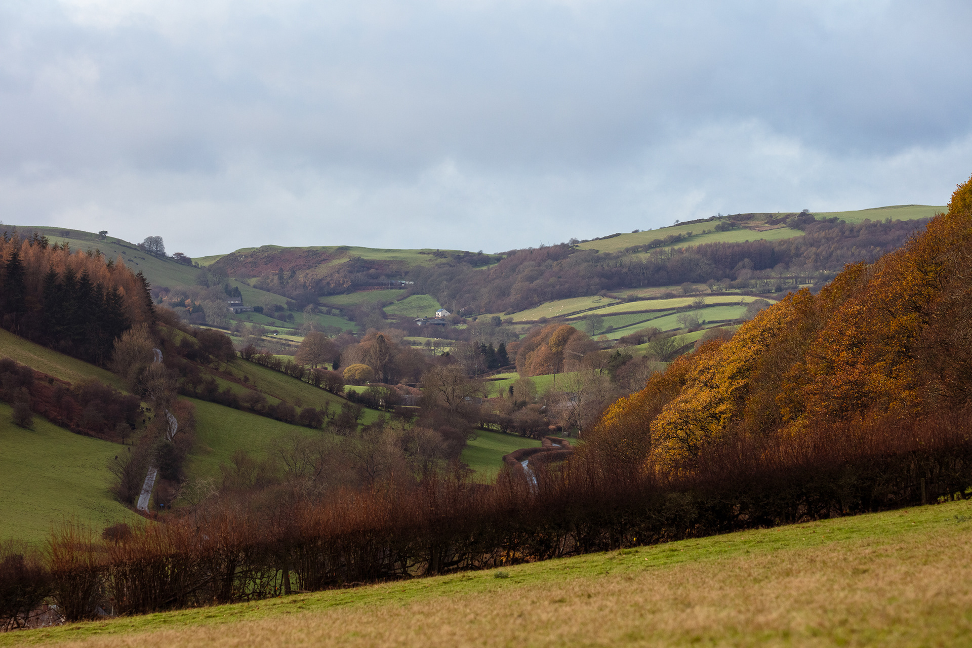 Looking up Redlake Valley 