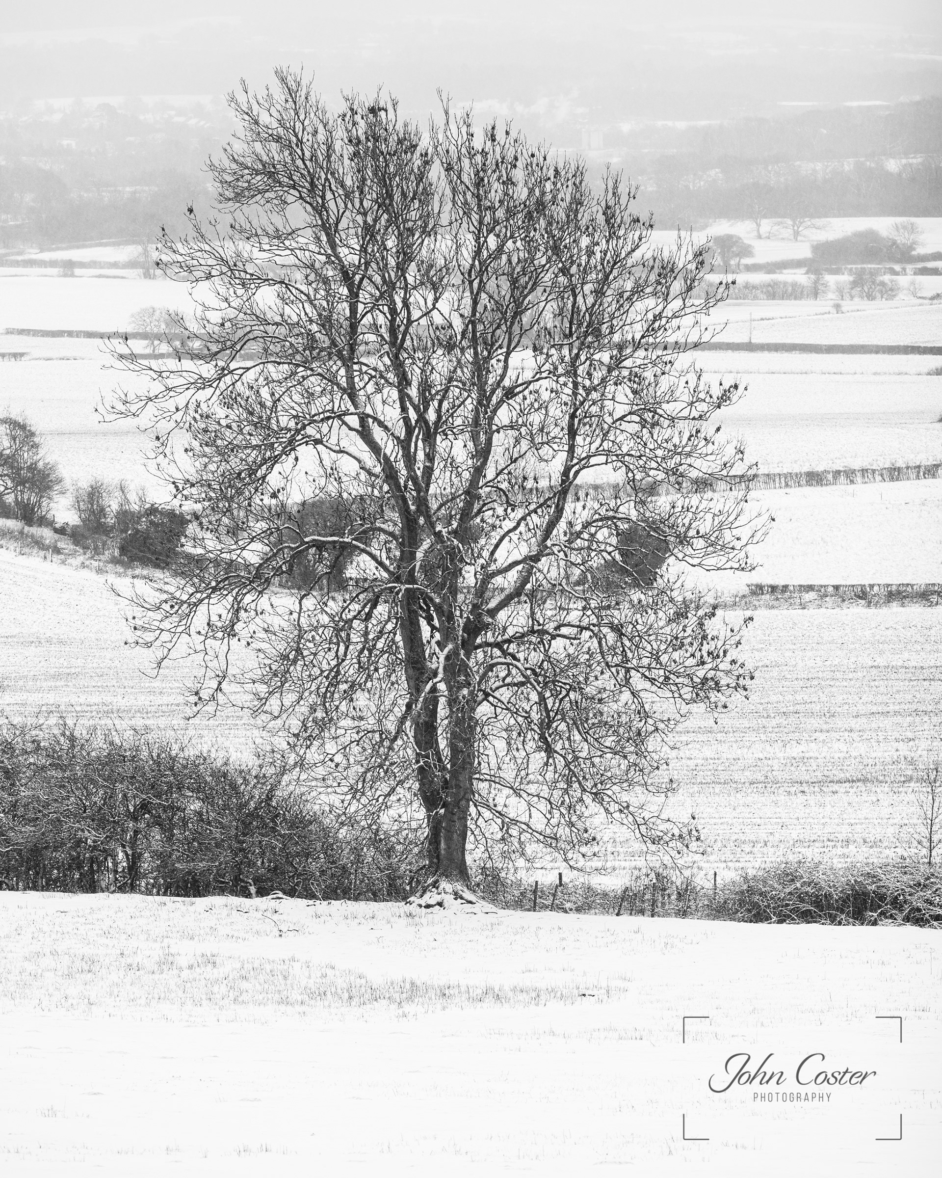 Canon 5D IV; EF 135mm f/2 lens, Gitzo Tripod. Settings: 1/25th of a second; f/3.2; ISO 100.