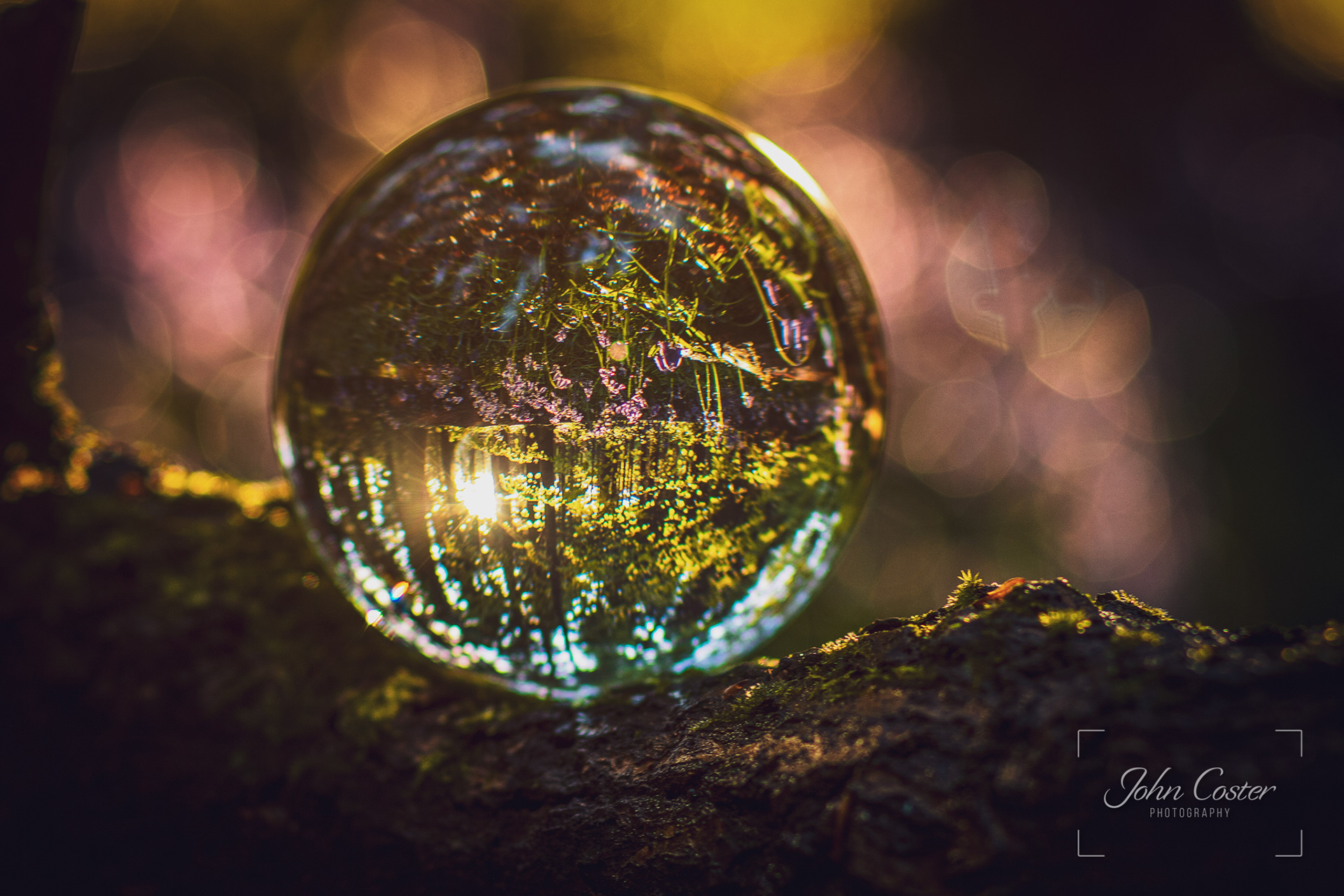 Just messing about with a Lens Ball