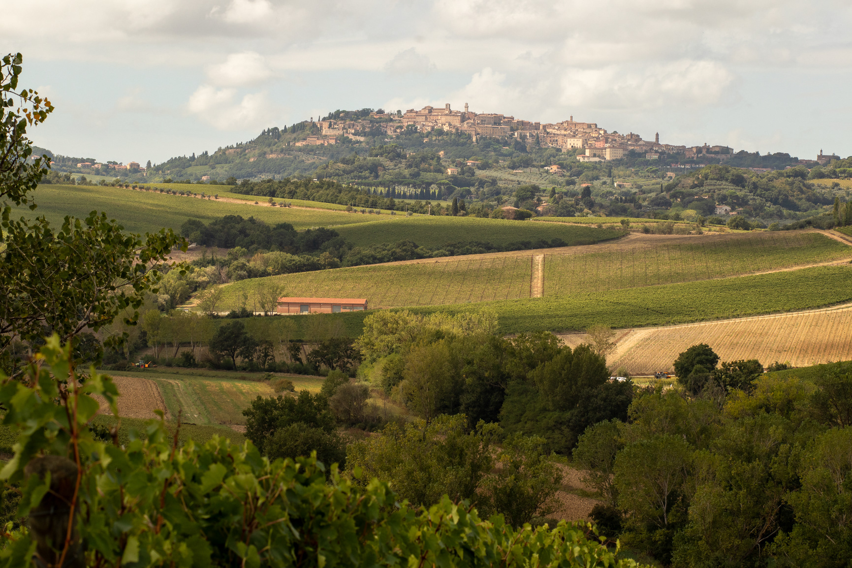 Views around Villa Grazianella & Fattoria Del Cerro