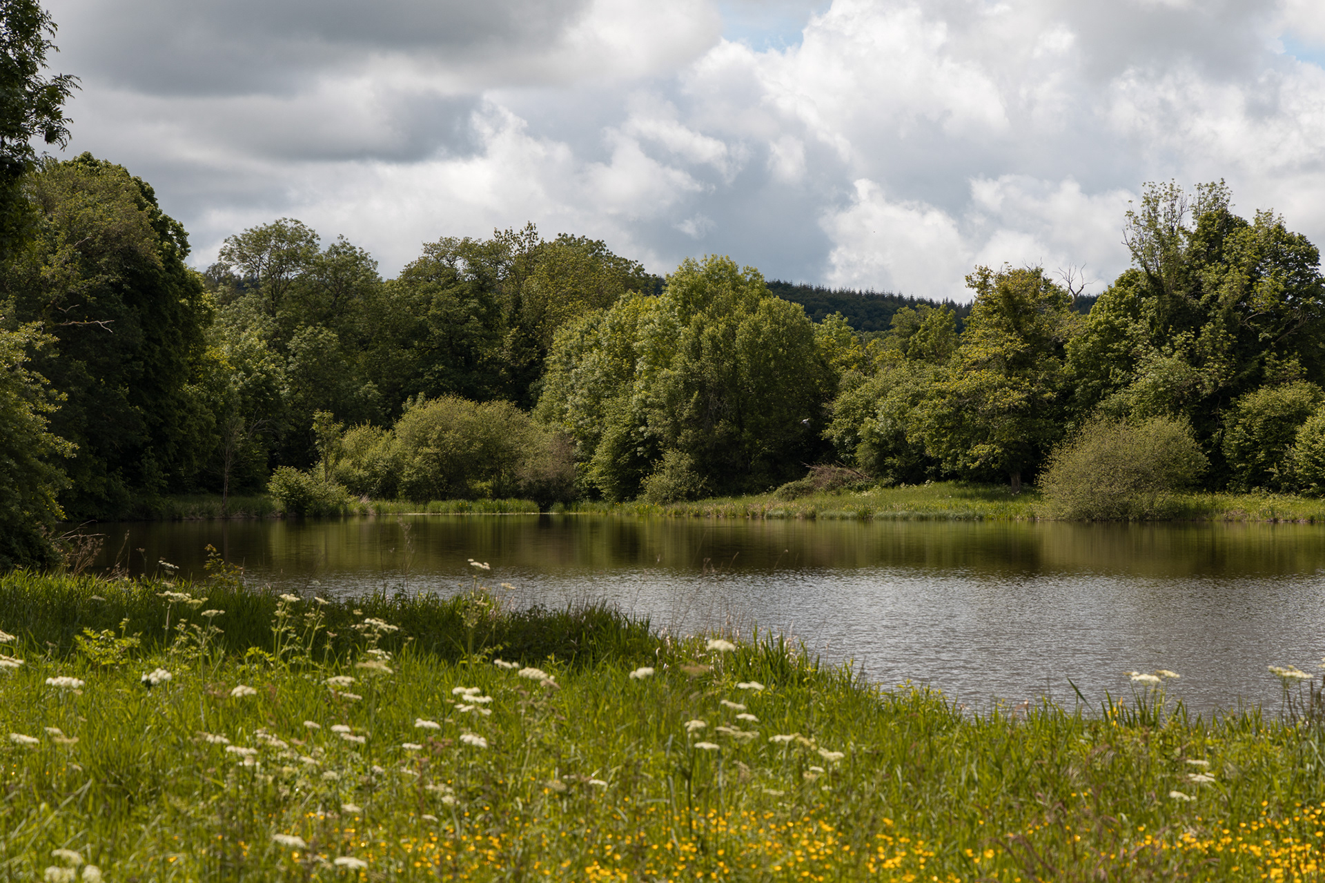 local lake