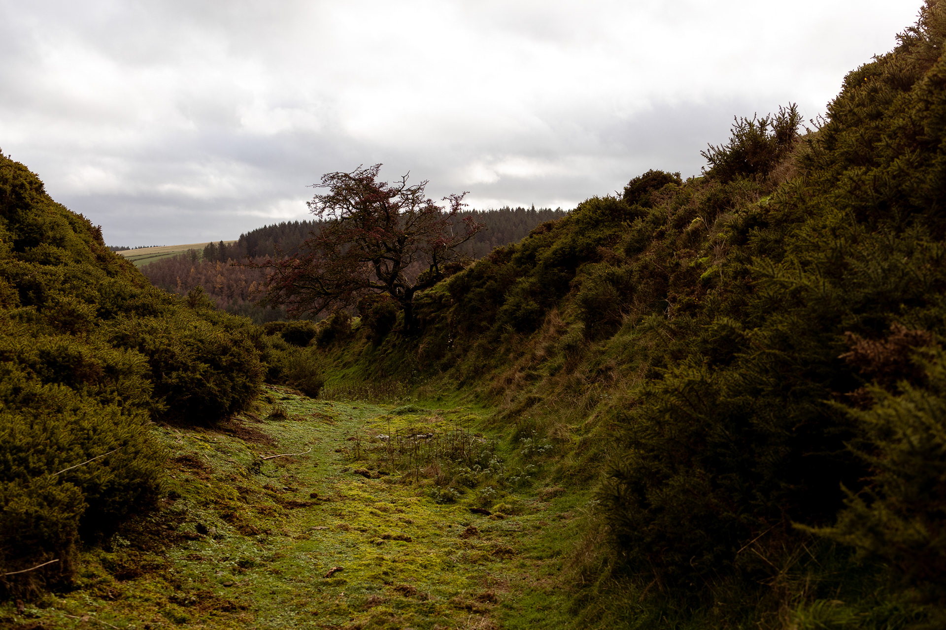 The Hill Fort must have been impressive back in the day! 