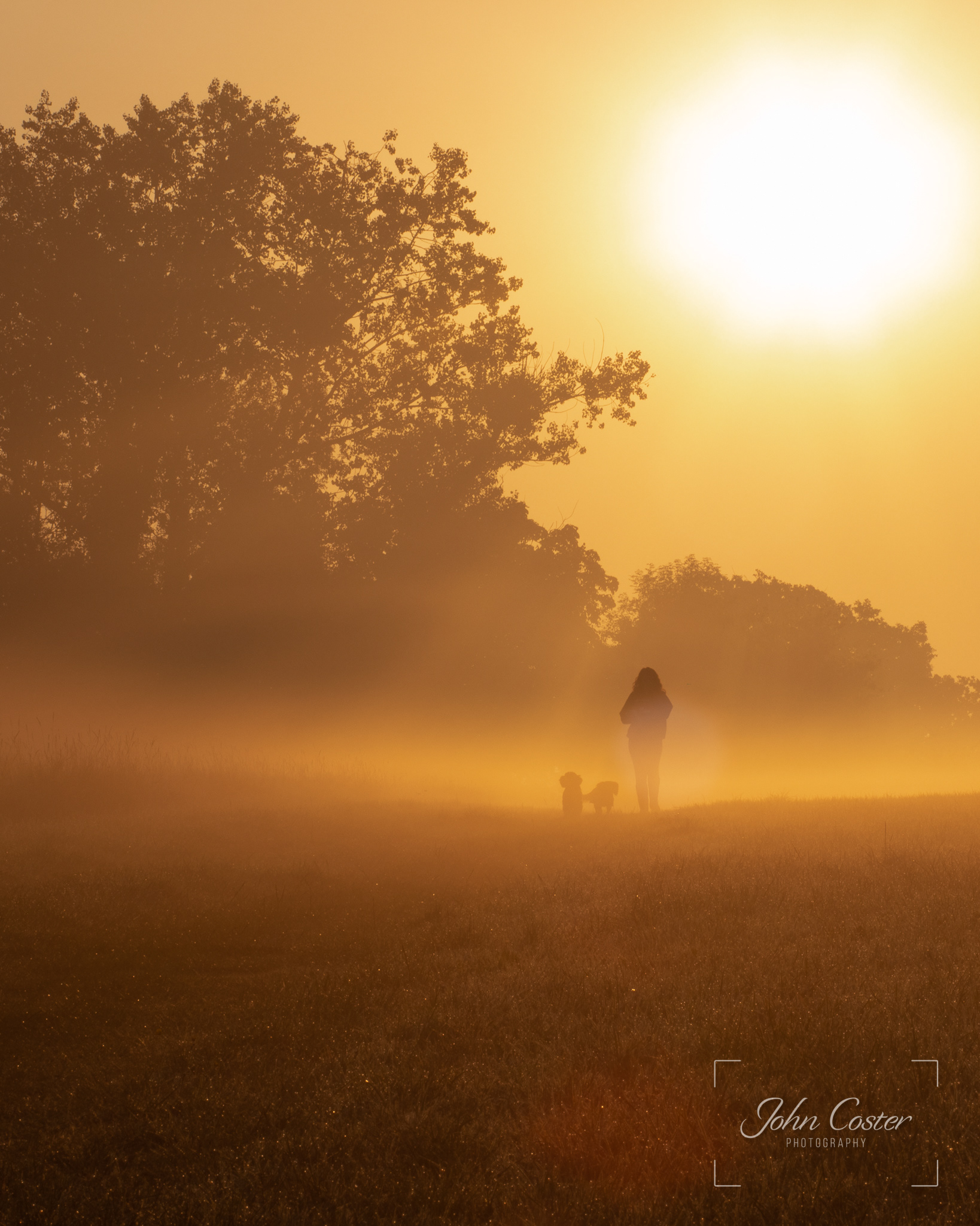 Morning Misty Stroll