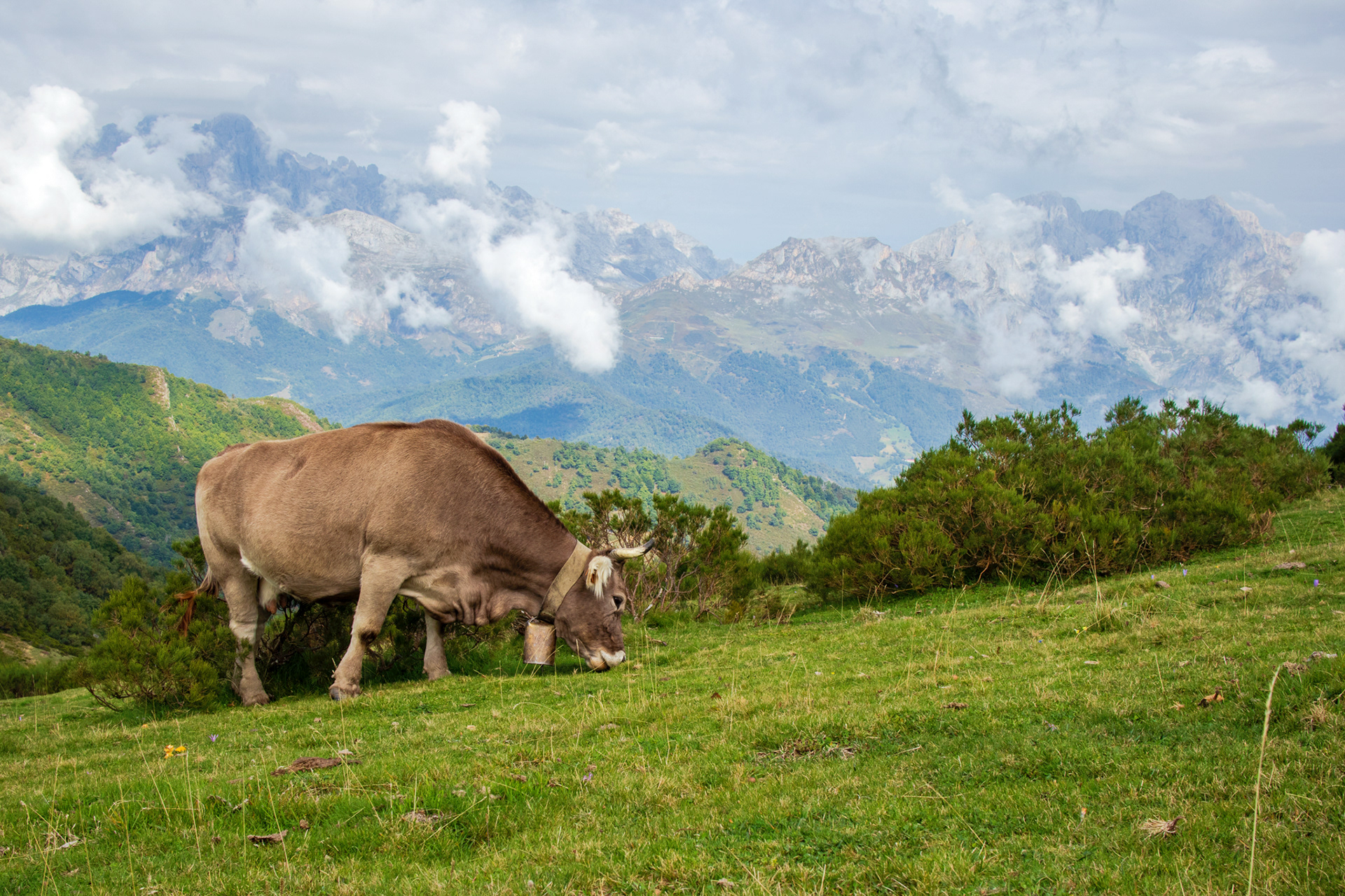 Pico's - I could have sat here for more than just a while!